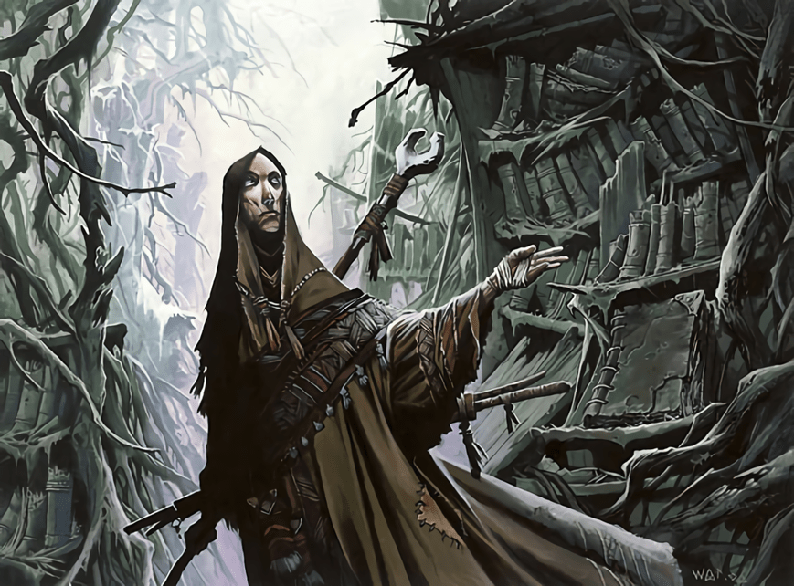 Magus of the Library by Wayne Reynolds ImaginaryScholars