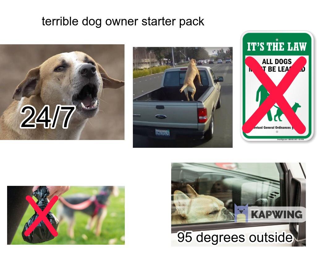 Terrible dog owner starter pack r/starterpacks