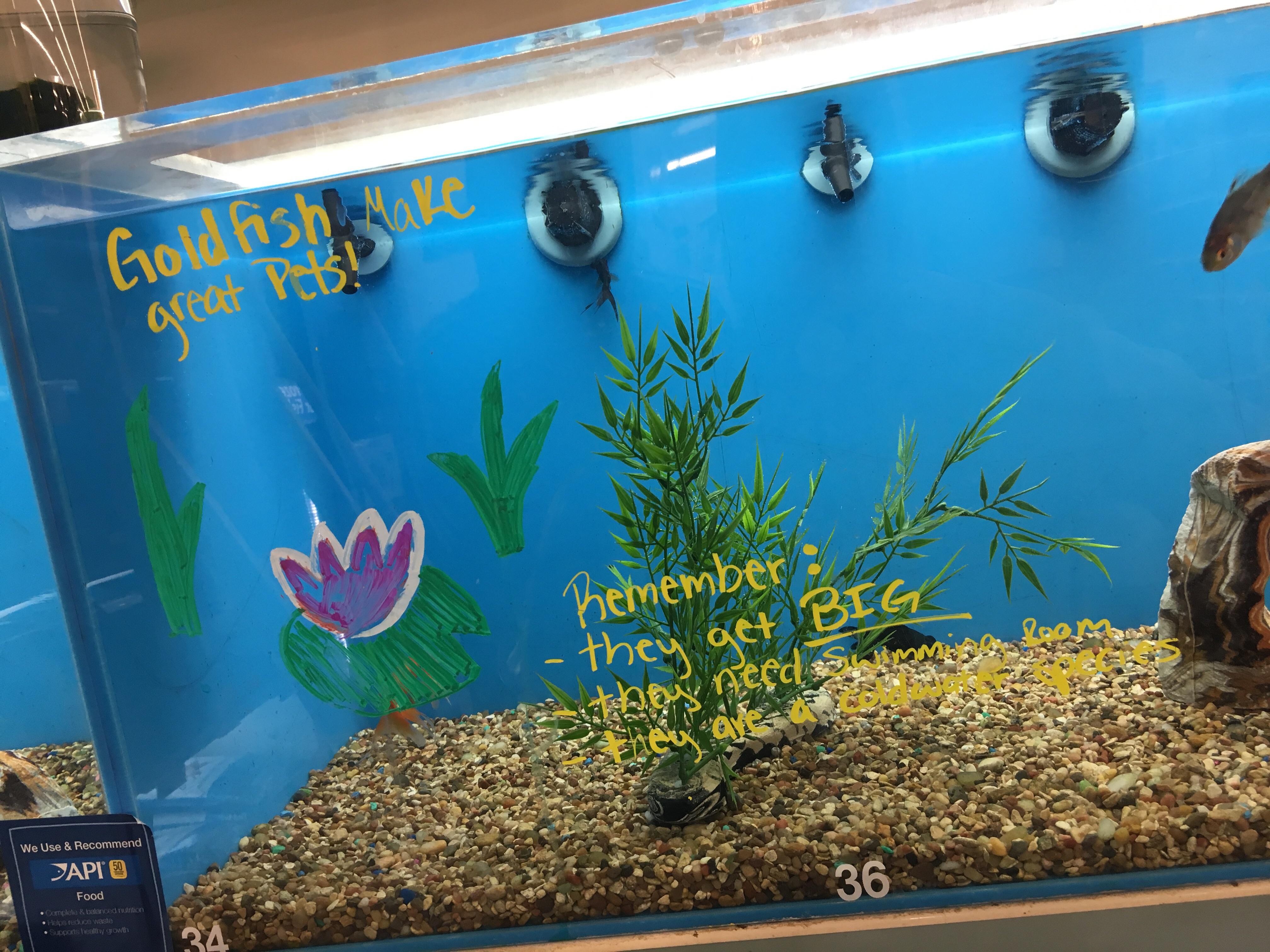 Im impressed by my local petsmart. It’s still not great