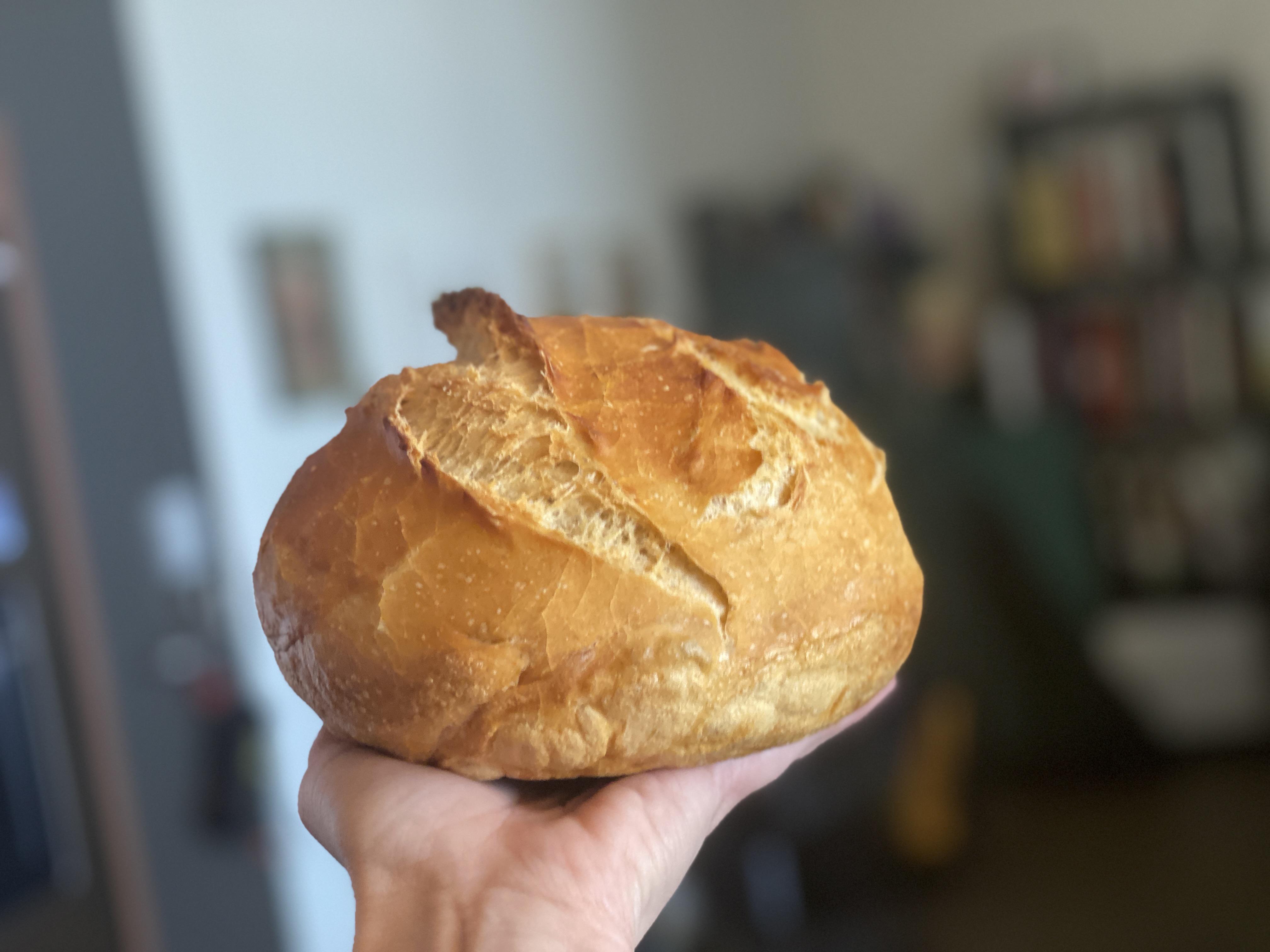 I can finally contribute! King Arthur NoKnead Crusty White Bread