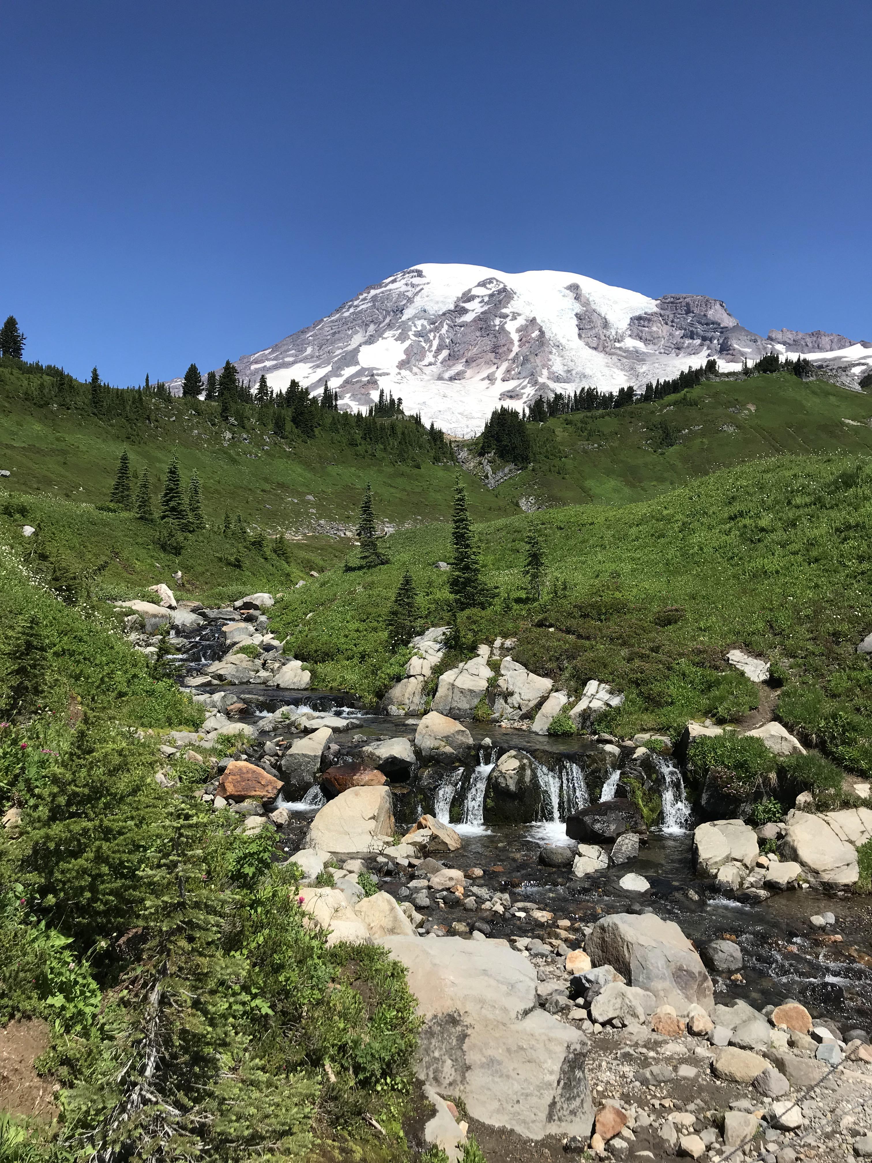 Paradise, Mt. Rainier National Park, WA, USA [OC] [1920x1080] r/EarthPorn