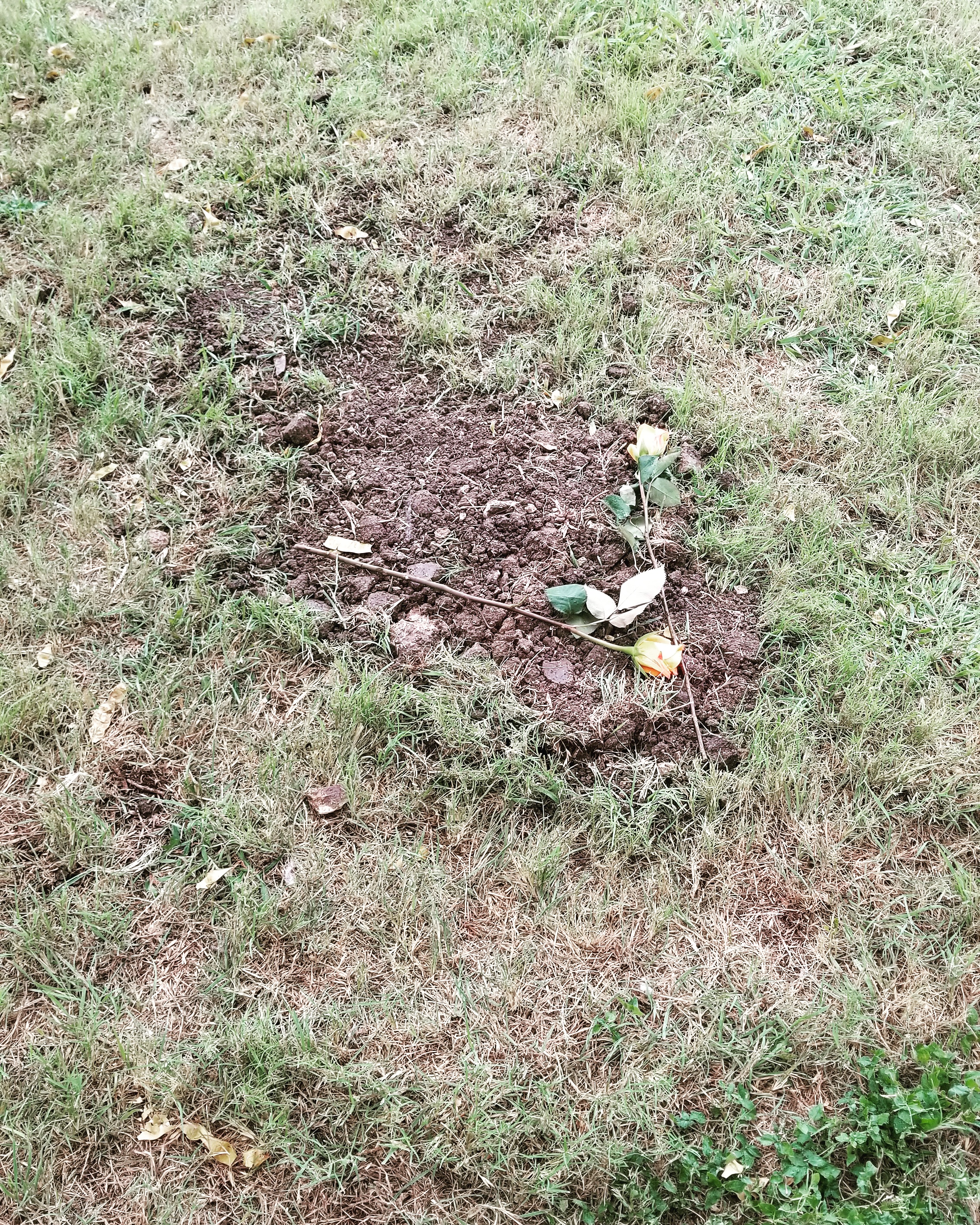 79 best r/miscarriage images on Pholder My friend gifted me this