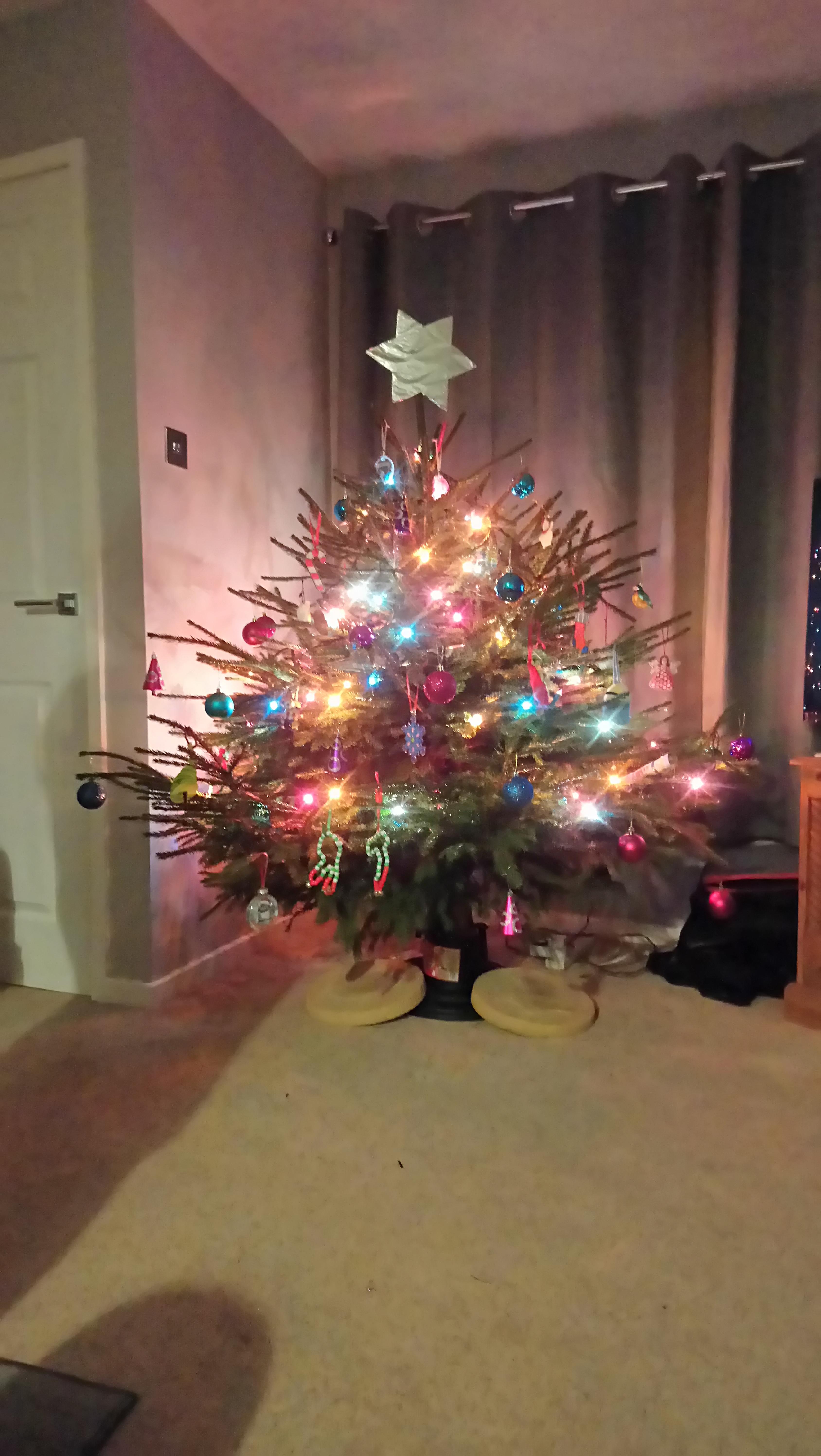 Went out to cut down the Christmas tree and apply the assortment of