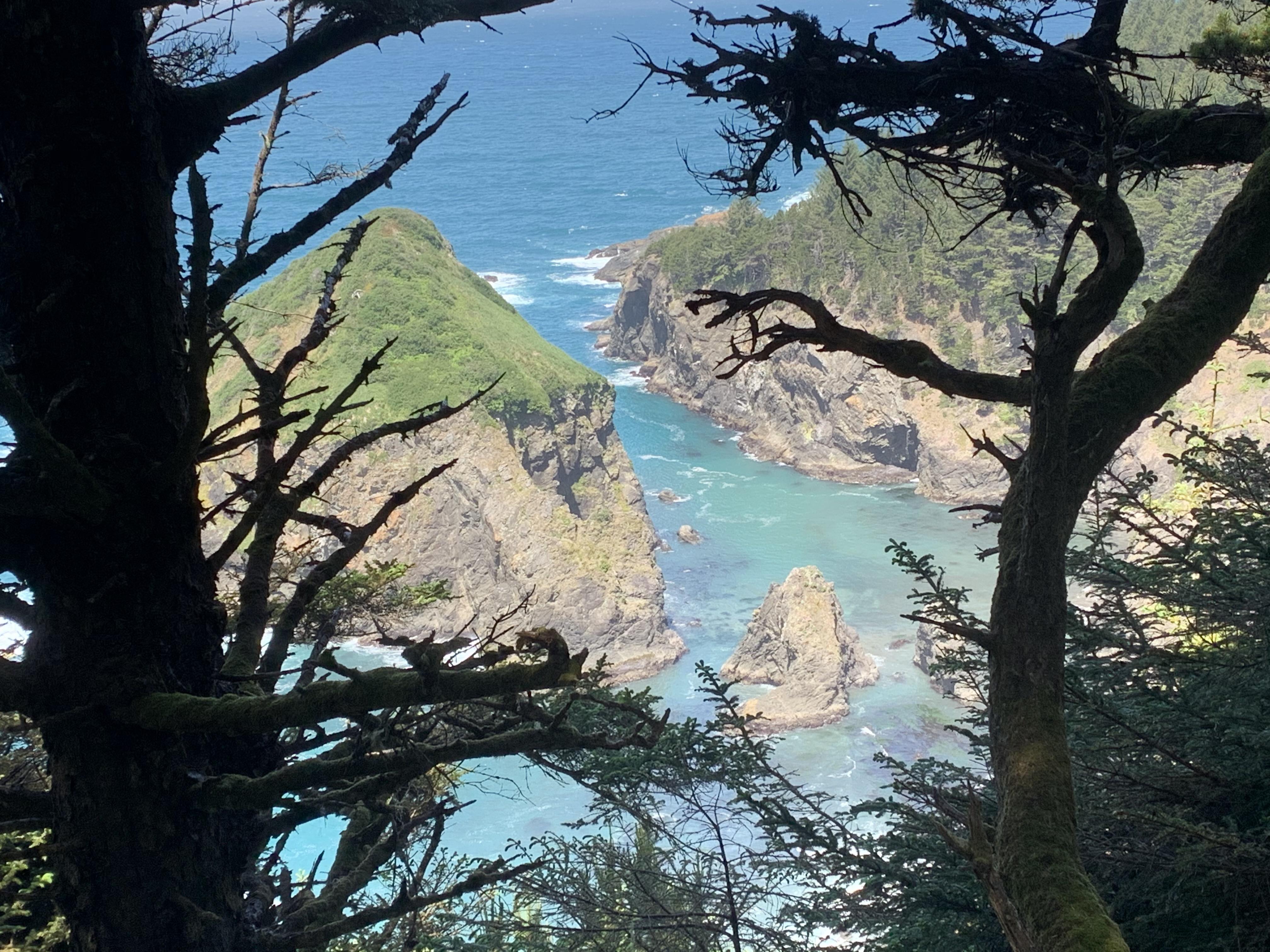 Pacific Coast Trail near Brookings, Oregon r/OregonCoast