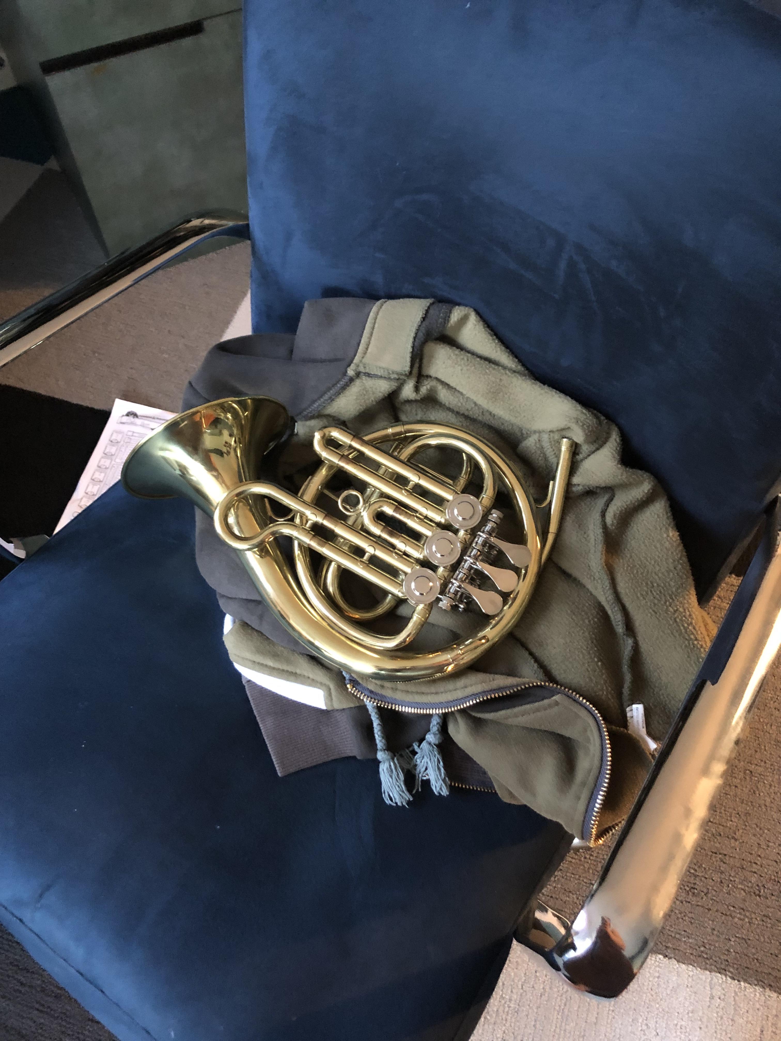 The smol bean.... r/horn