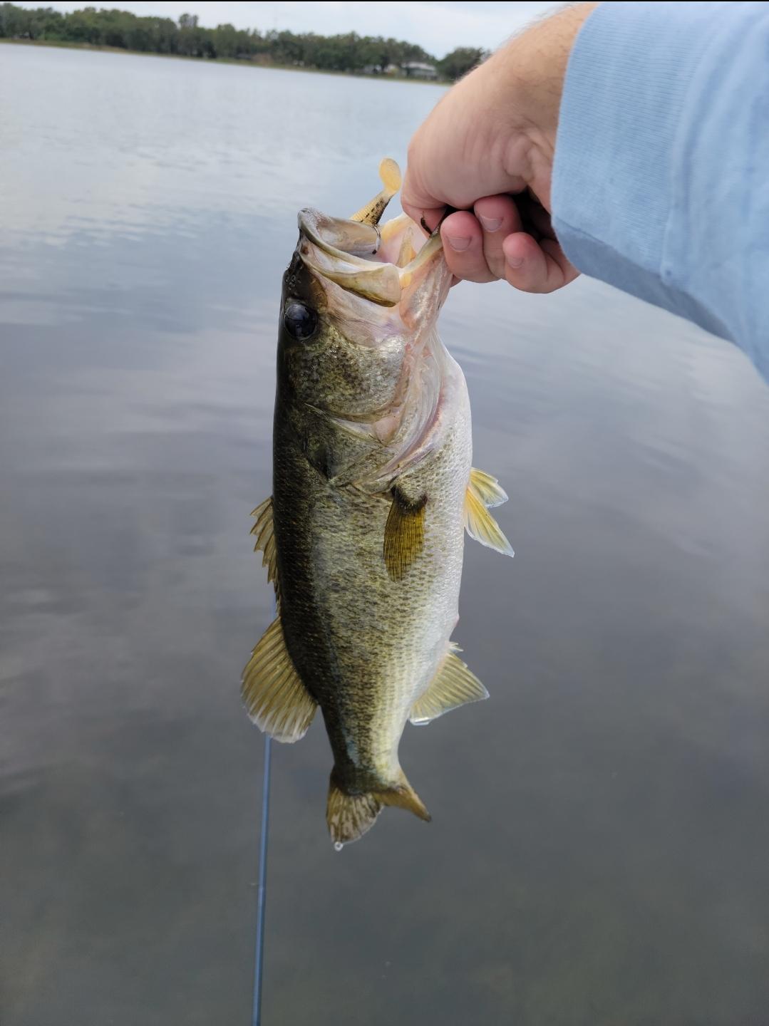 A reddit for gheenoe owners