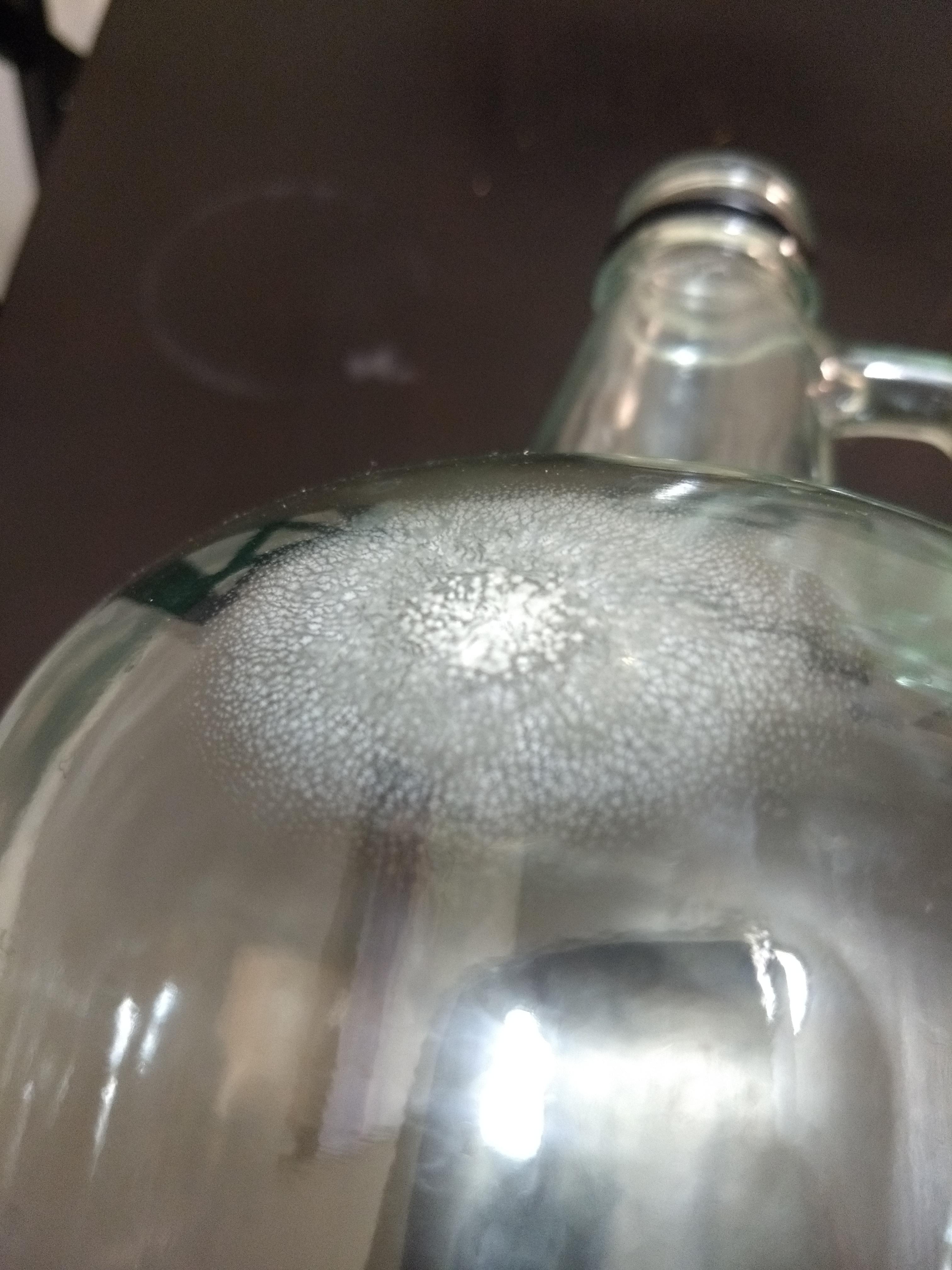 Asking for advice to remove mold from the interior of my glass carboys