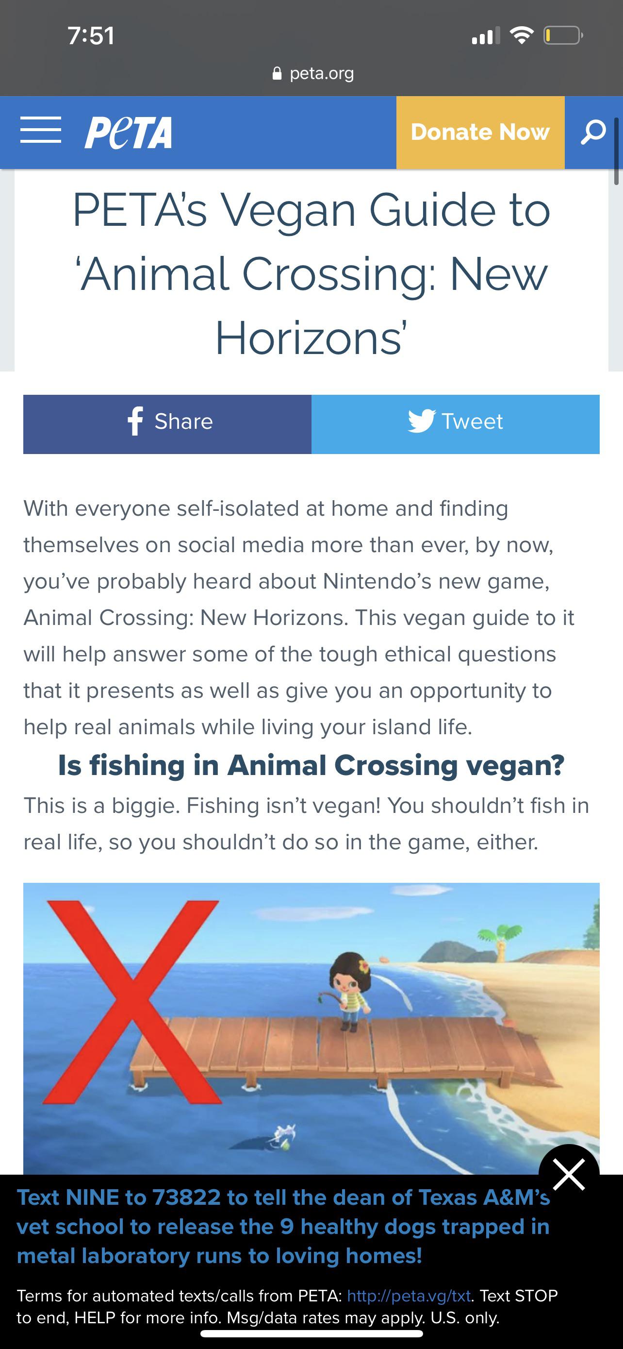 Funny article from peta about why you shouldn’t fish in animal crossing