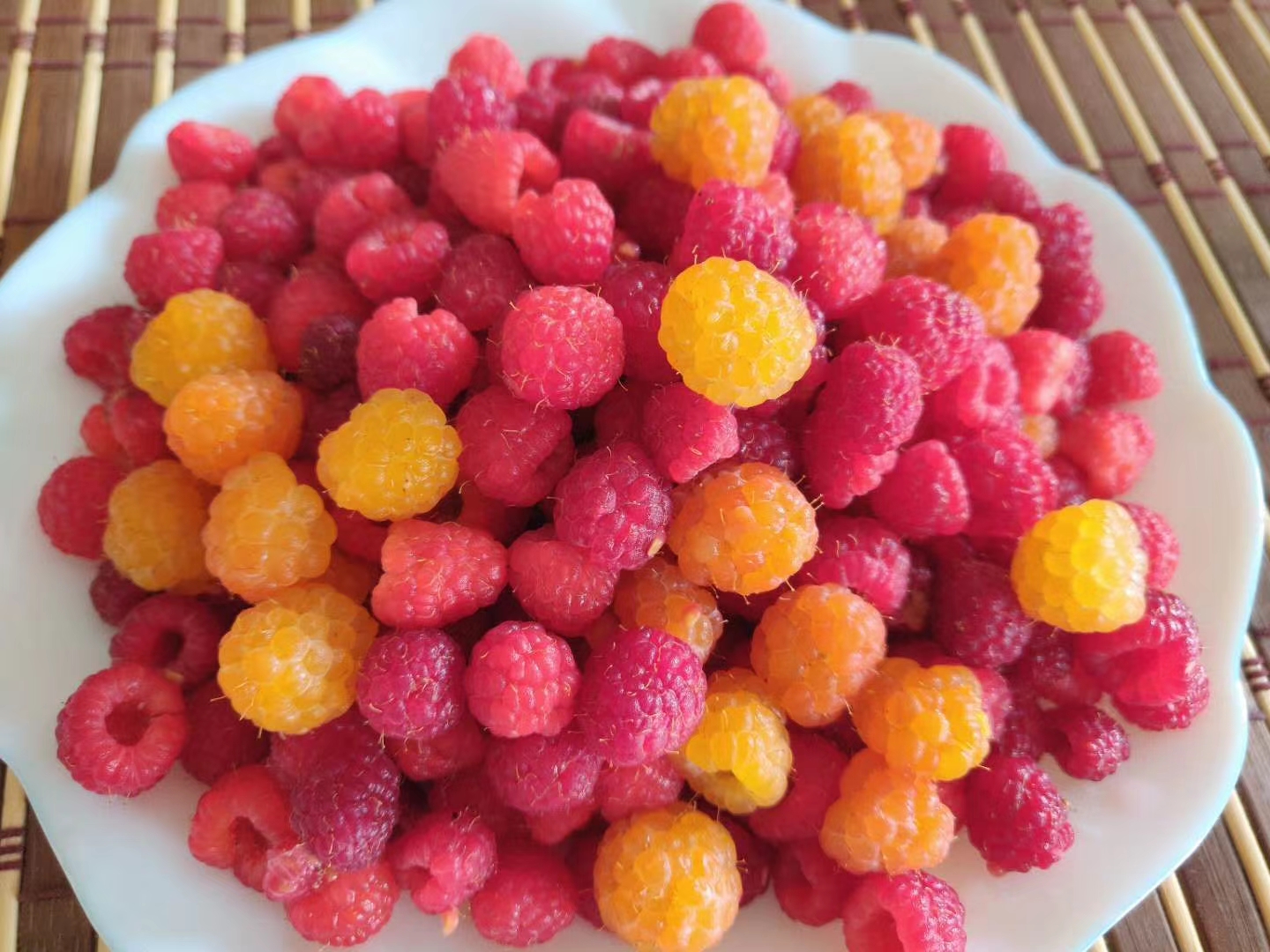Red and golden raspberries ️💛 r/gardening