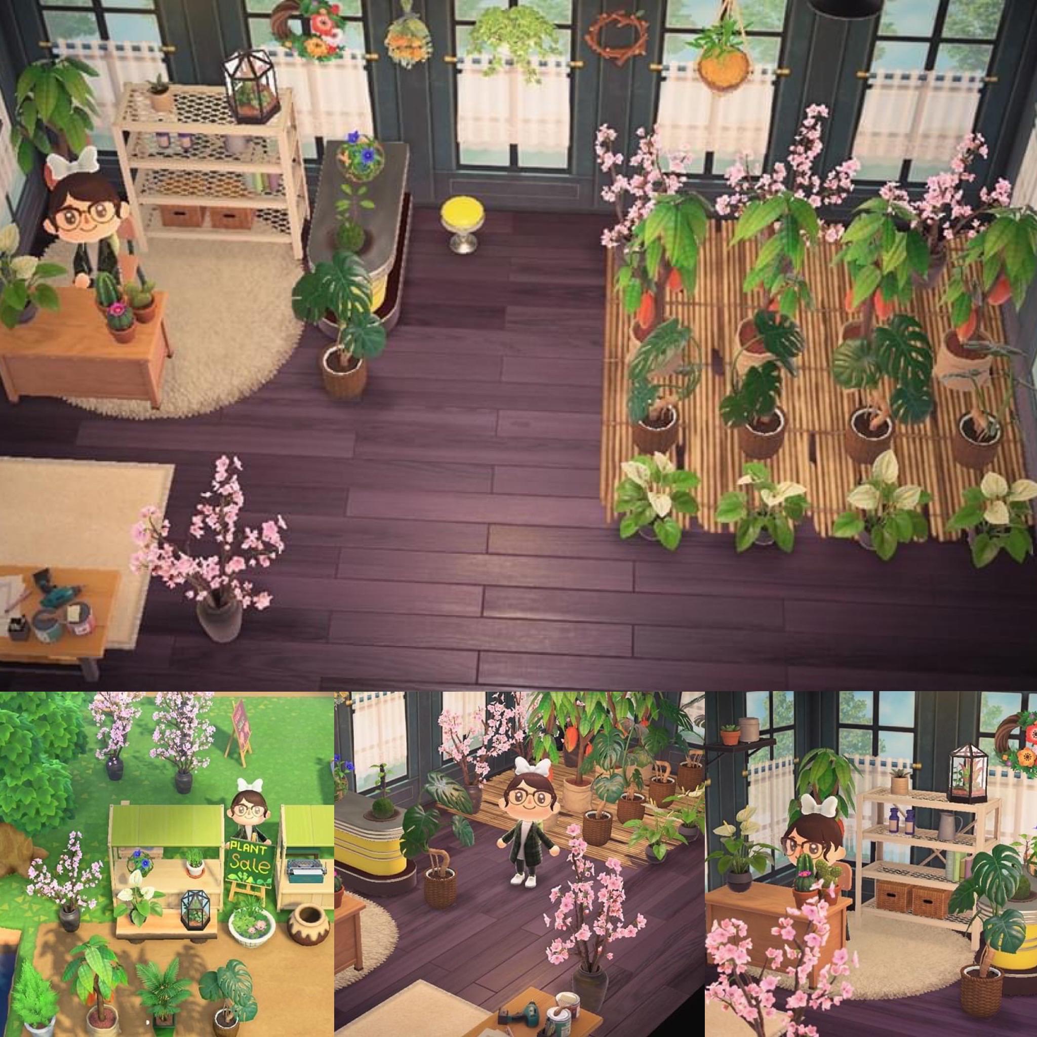 I’ve been slowly amassing plants to start a lil nursery I want to keep