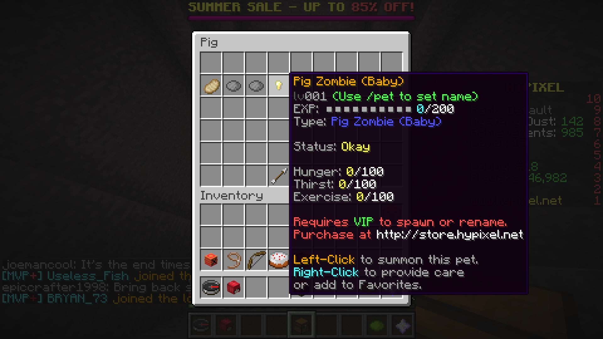 Unboxed a legendary pet on a minecraft server, can't use it unless i