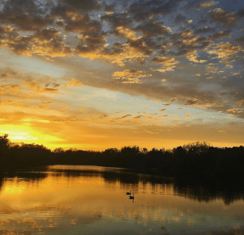 Sunrise in Southeast Iowa r/midwest