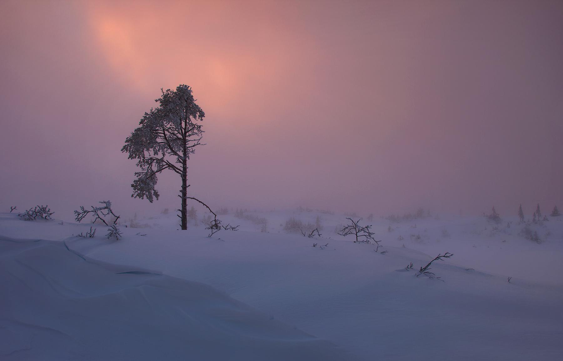 Winter is dark, but it's twilight sometimes is magical misty view