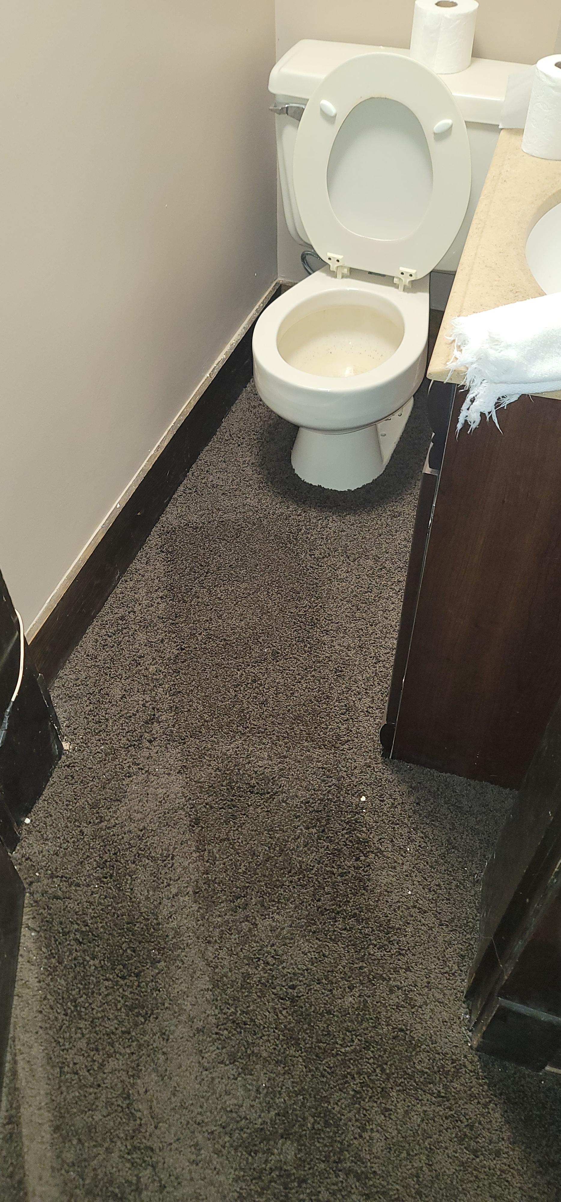 Shag carpet in a bathroom... r/mildlyinfuriating