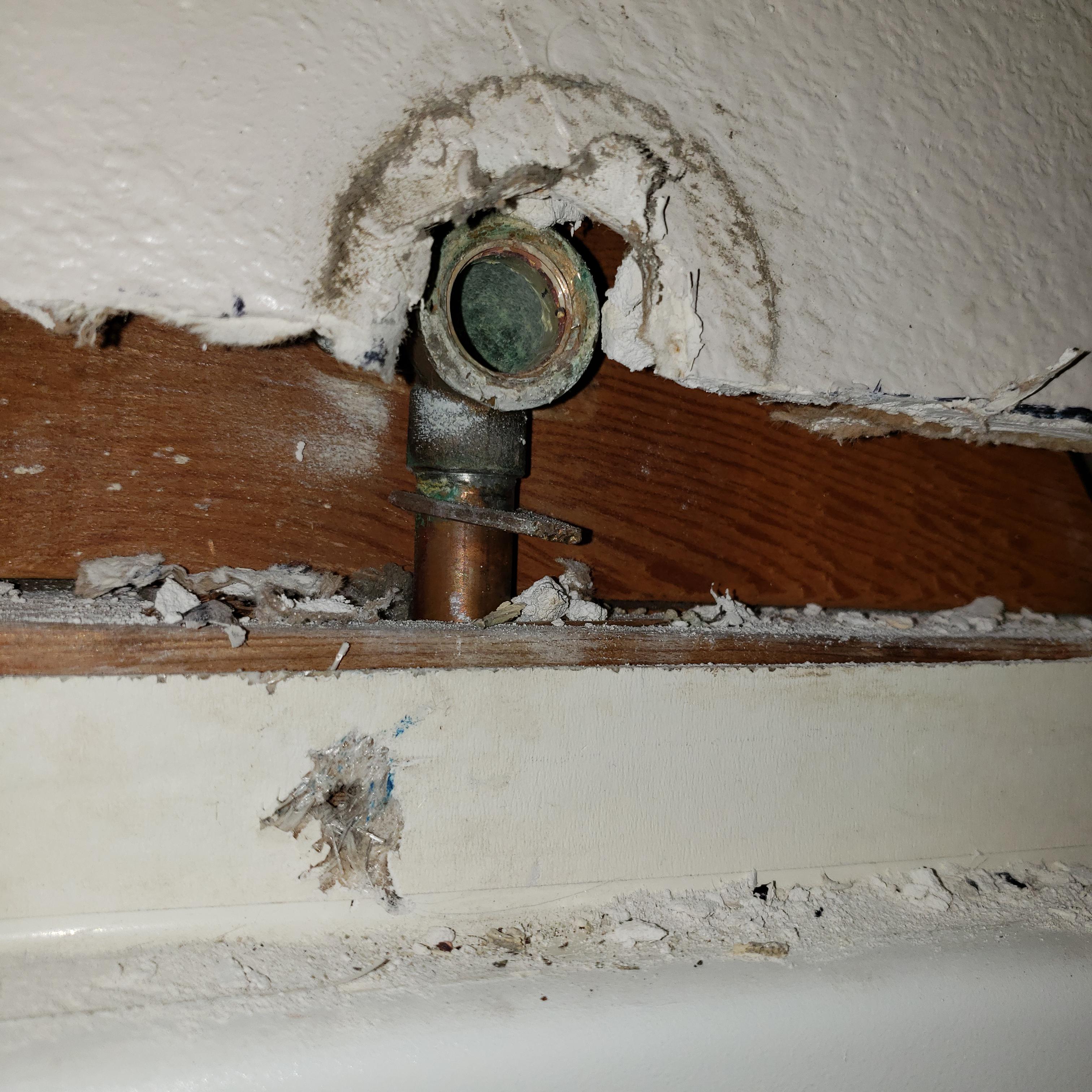 Putting the shower stall back in and noticed the shower head had rusted