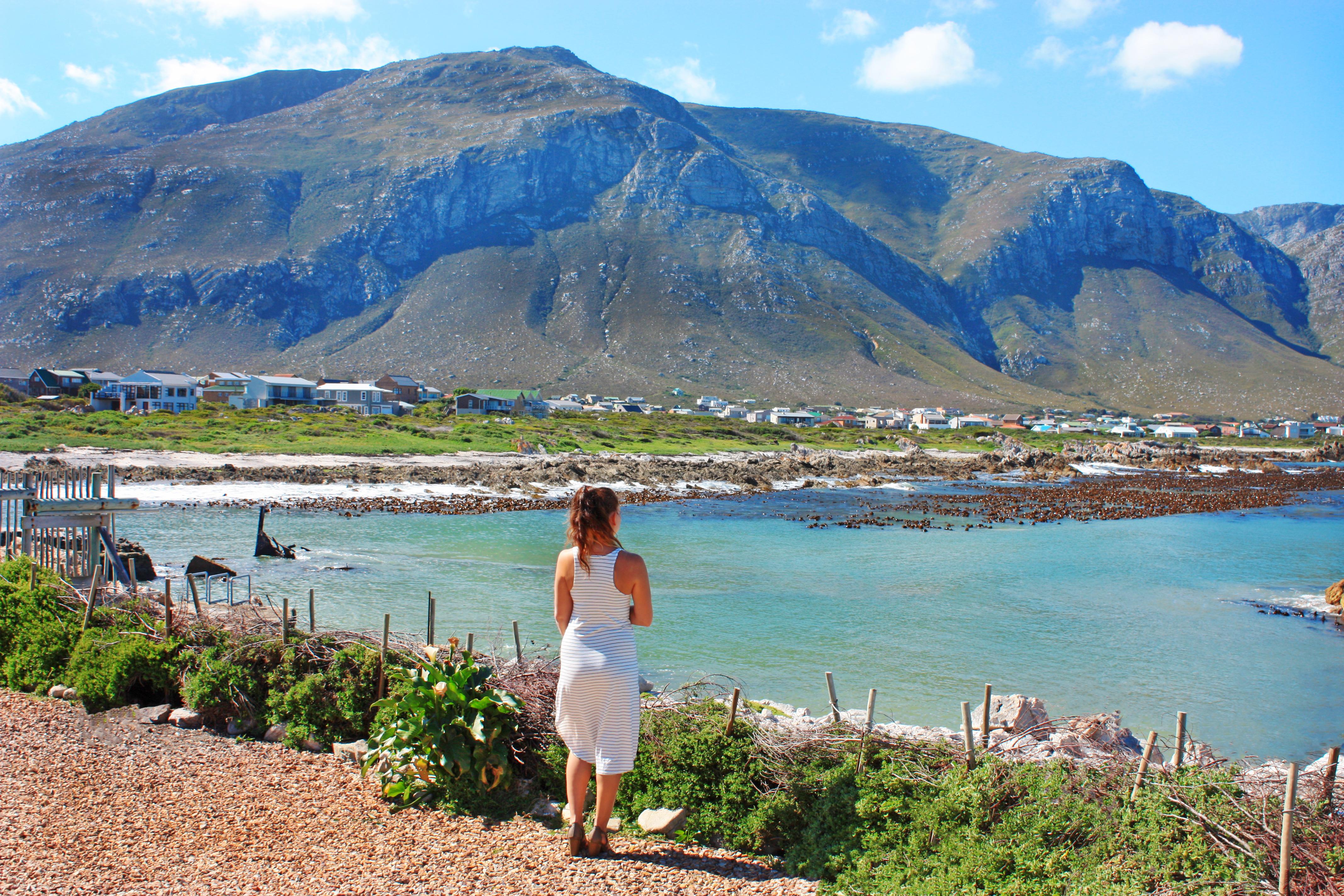 Looking out over Betty's Bay in South Africa r/travelphotos