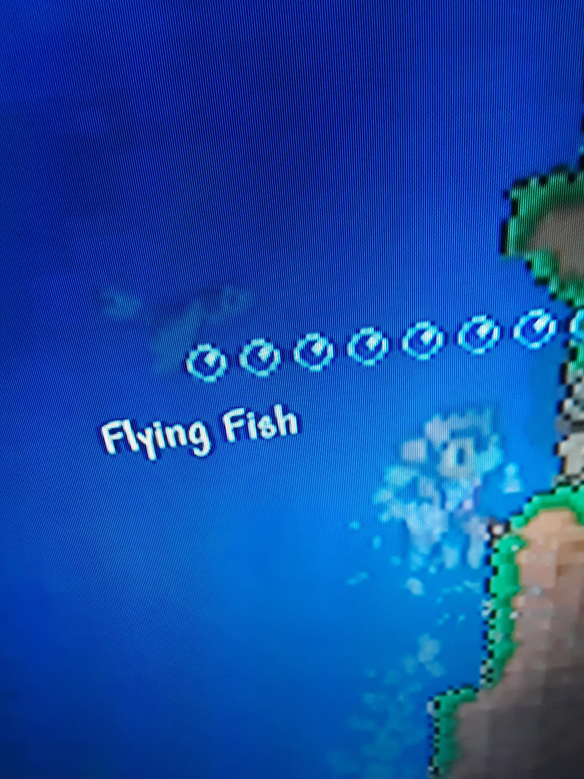 Underwater flying fish r/Terraria