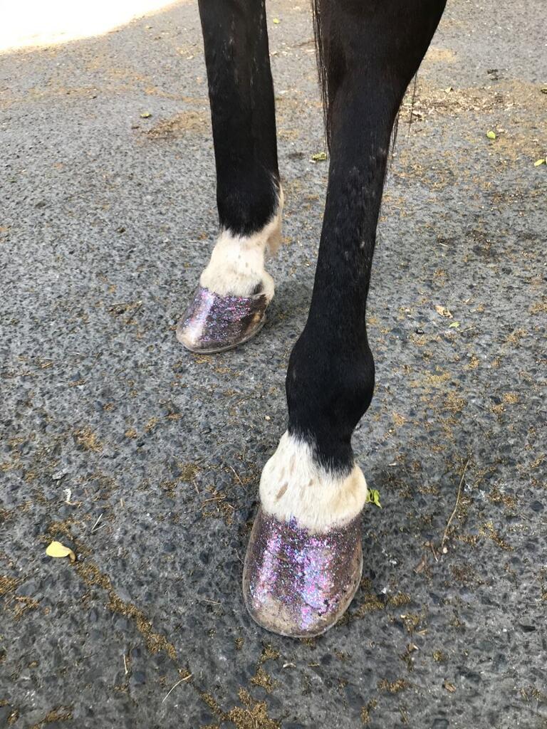 My love for glitter may have come to far. I bought the twinkle toes