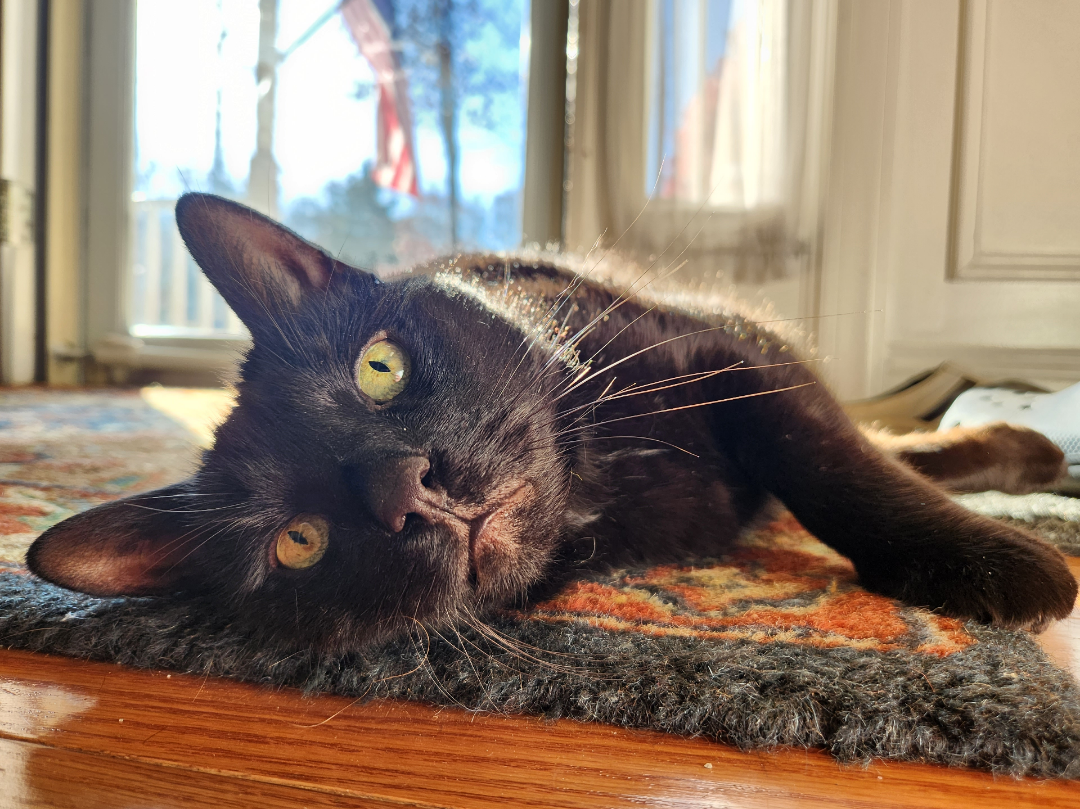 He might be a little jerk sometimes, but he's my little jerk and I love