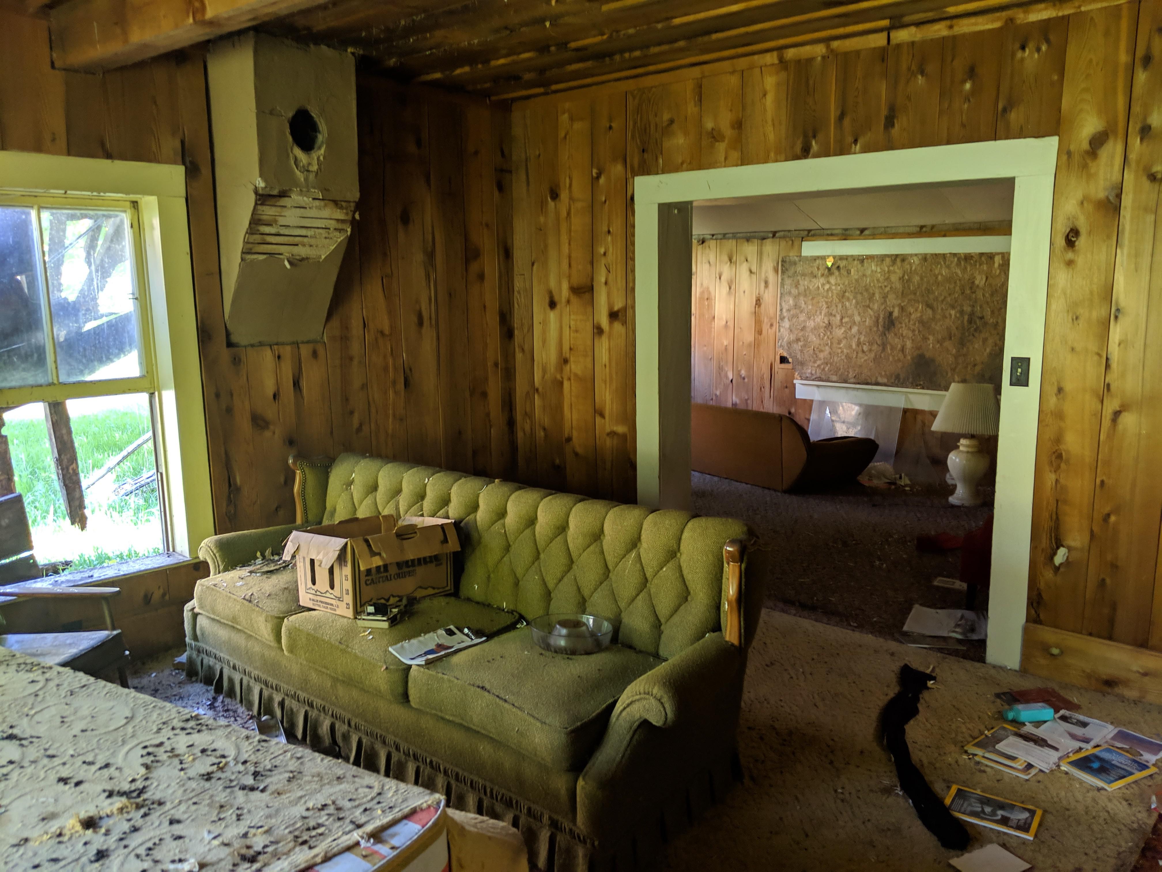 This abandoned house in Idaho was taken over by the mice and birds long