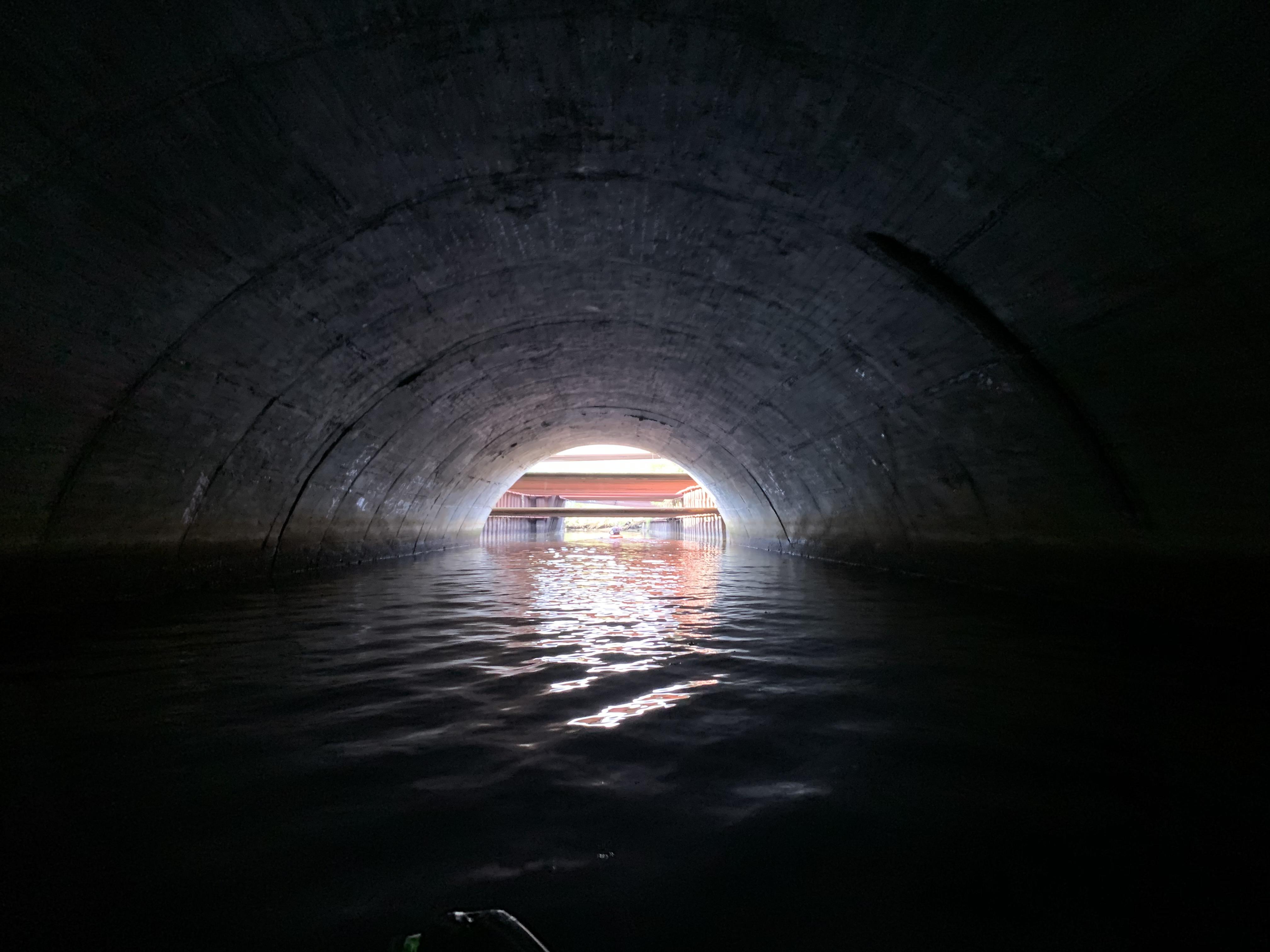 Found a secret tunnel while kayaking the St. John’s River today
