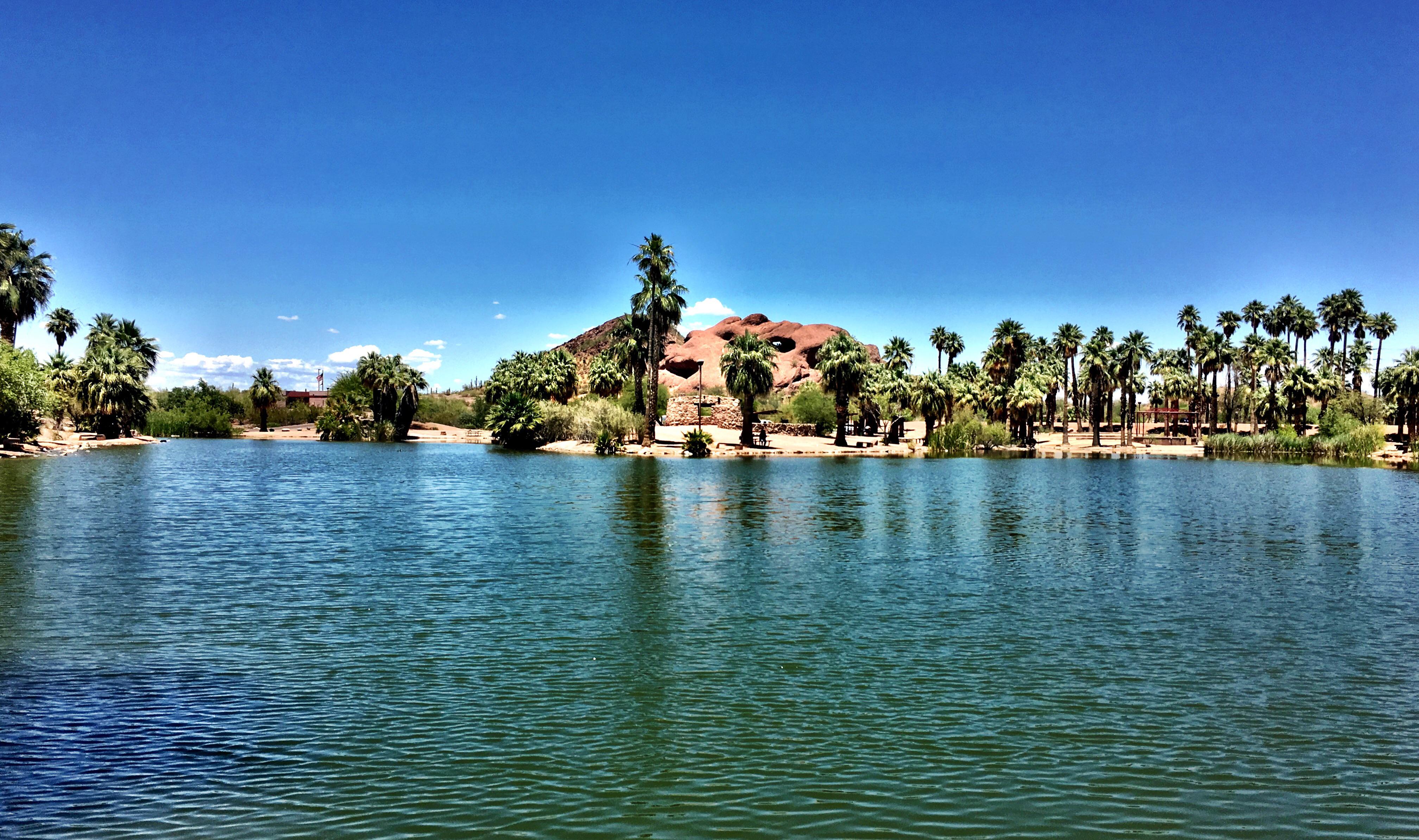 Oasis at Papago Park r/phoenix