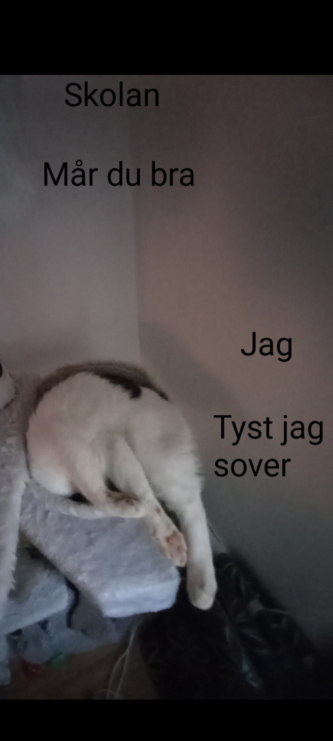 Jag när jag somnar på lektionen Matinbum