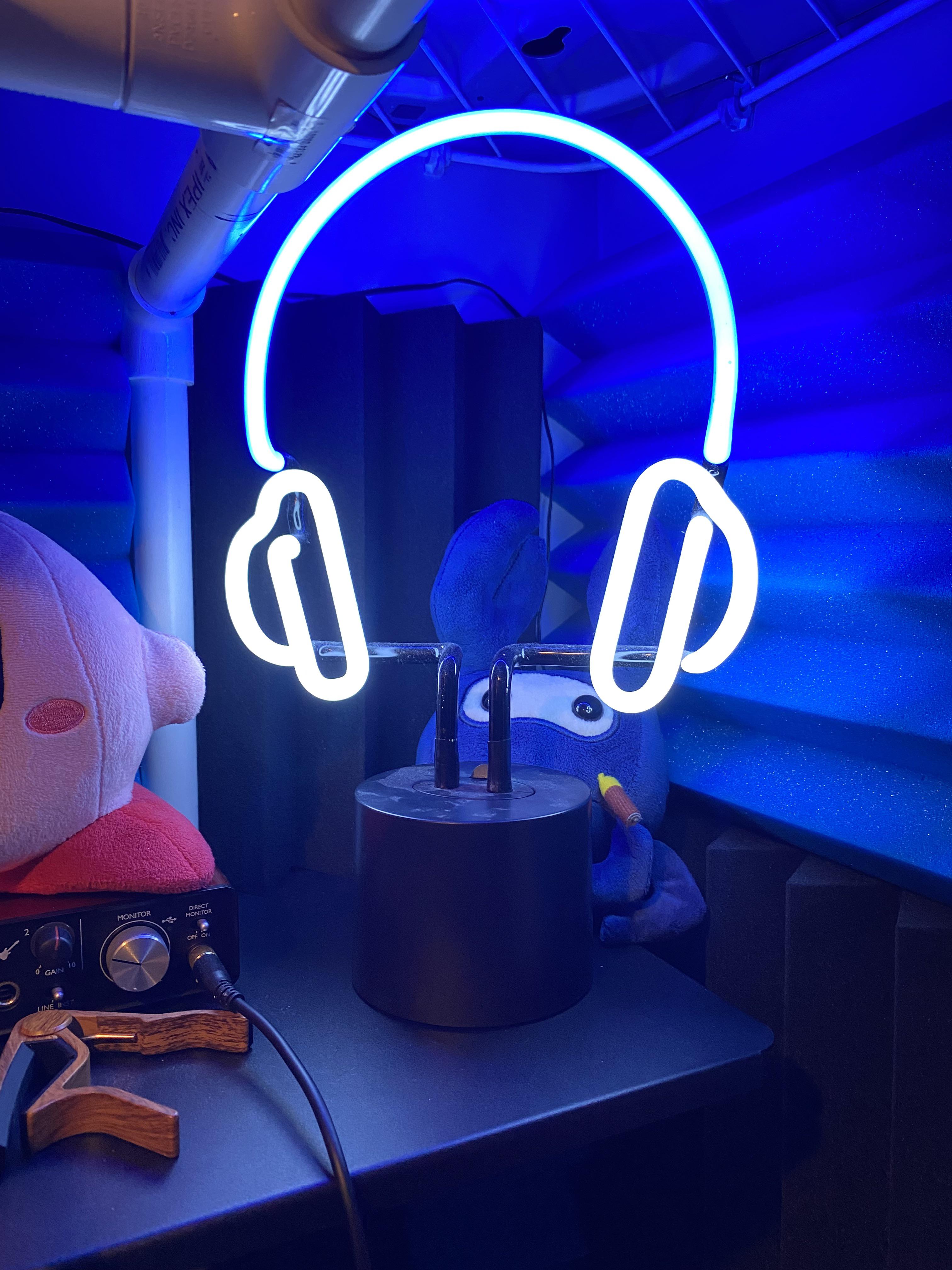 Possible Dumb Question Are neon lights safe for inside vocal booth