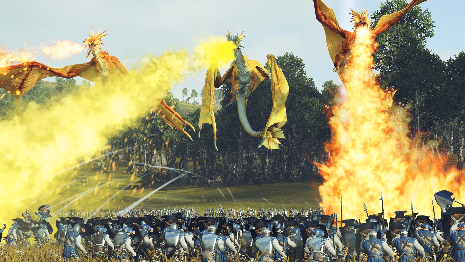 The Field of Fire r/totalwar