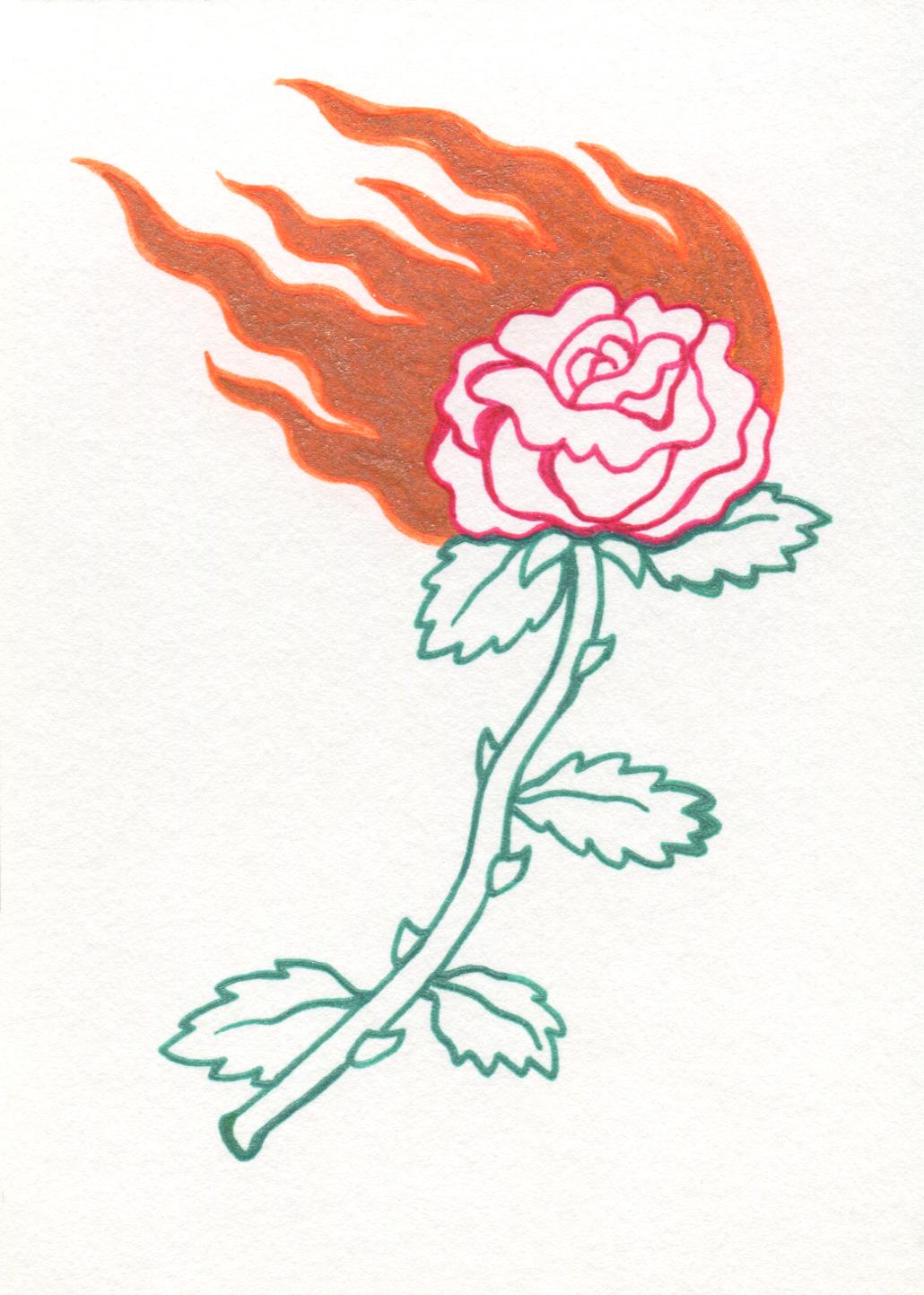 Artwork Flaming Rose, Rachel Rosenkoetter, gel pen and paint marker on