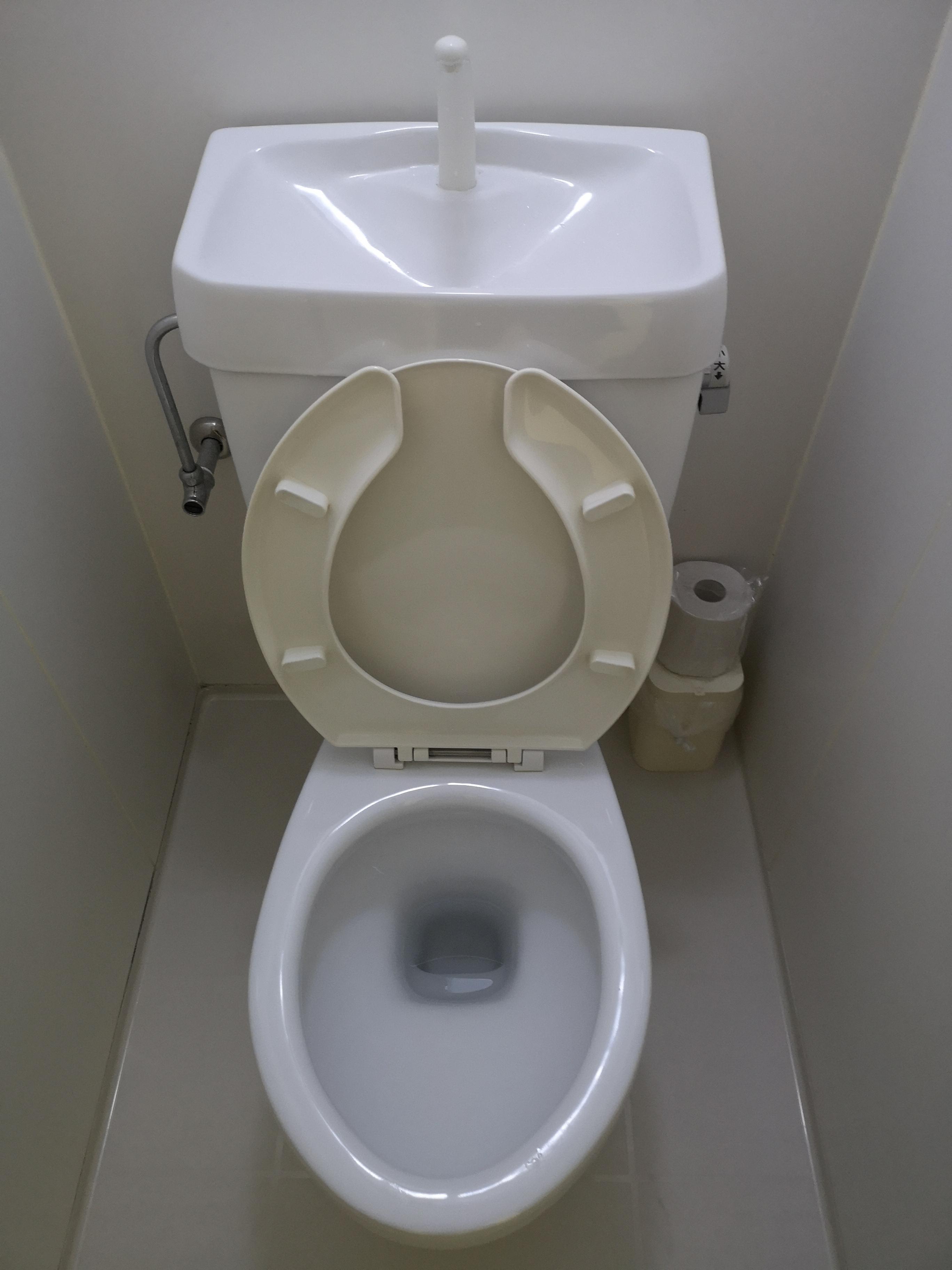 This toilet in Japan has a sink on top that uses water from the tap to fill the tank. r