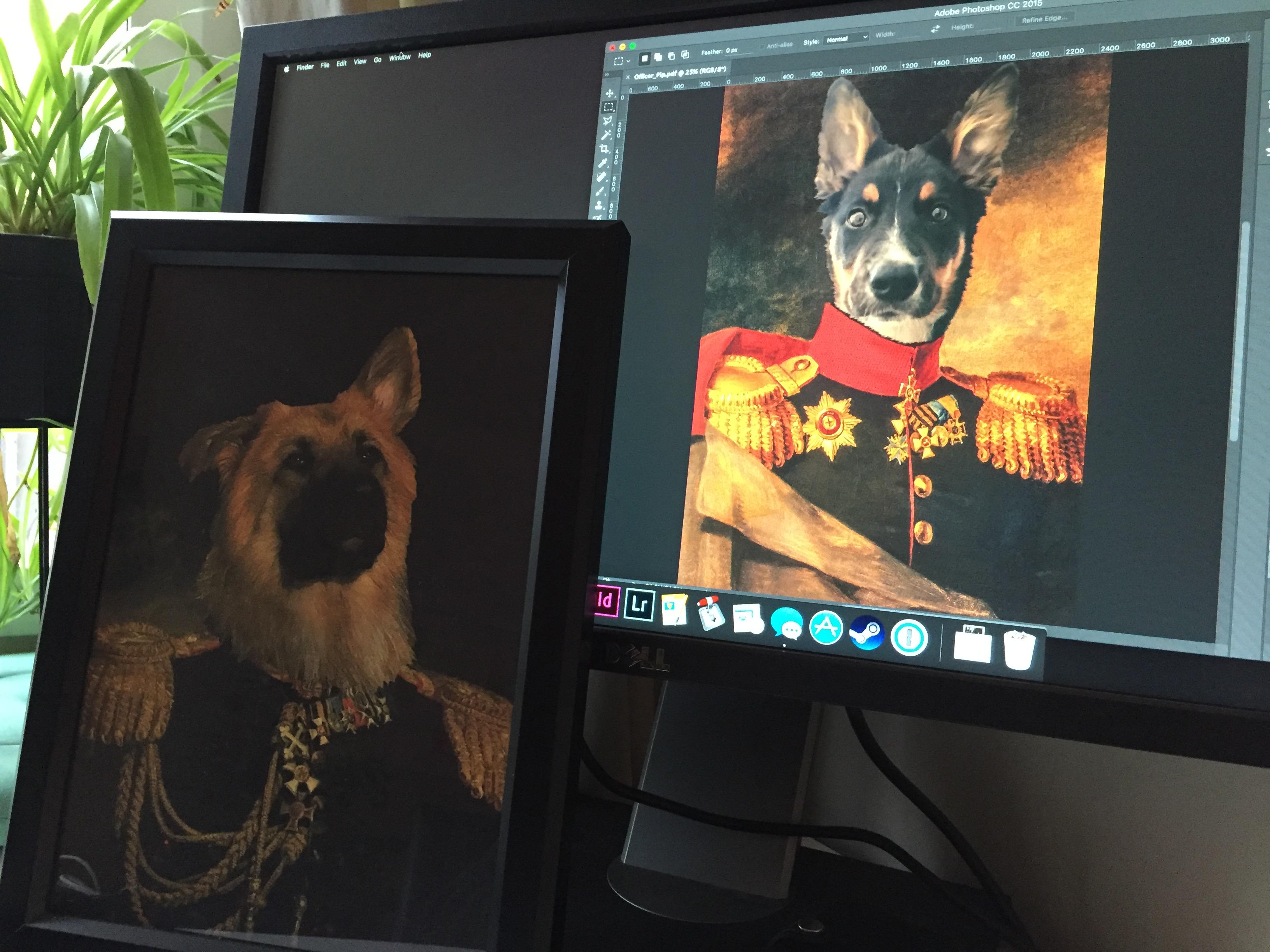 I'm finding it very easy to make gifts for those with pets this year pics