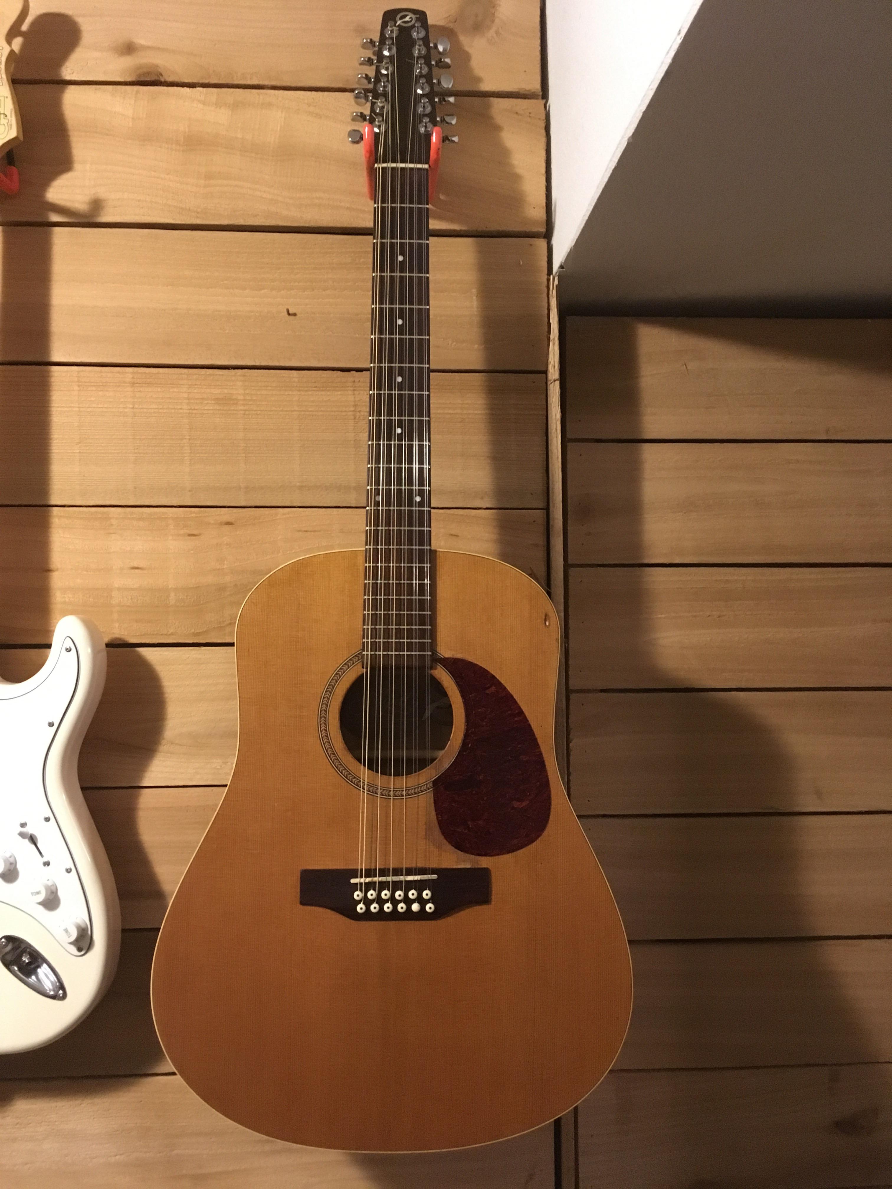 Just picked up a secondhand Seagull 12string for cheap. I’m in love