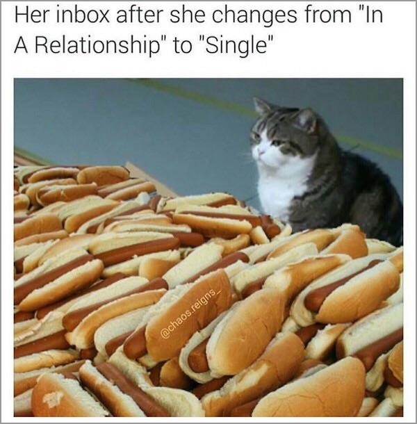 Mustard, relish and ketchup? r/memes