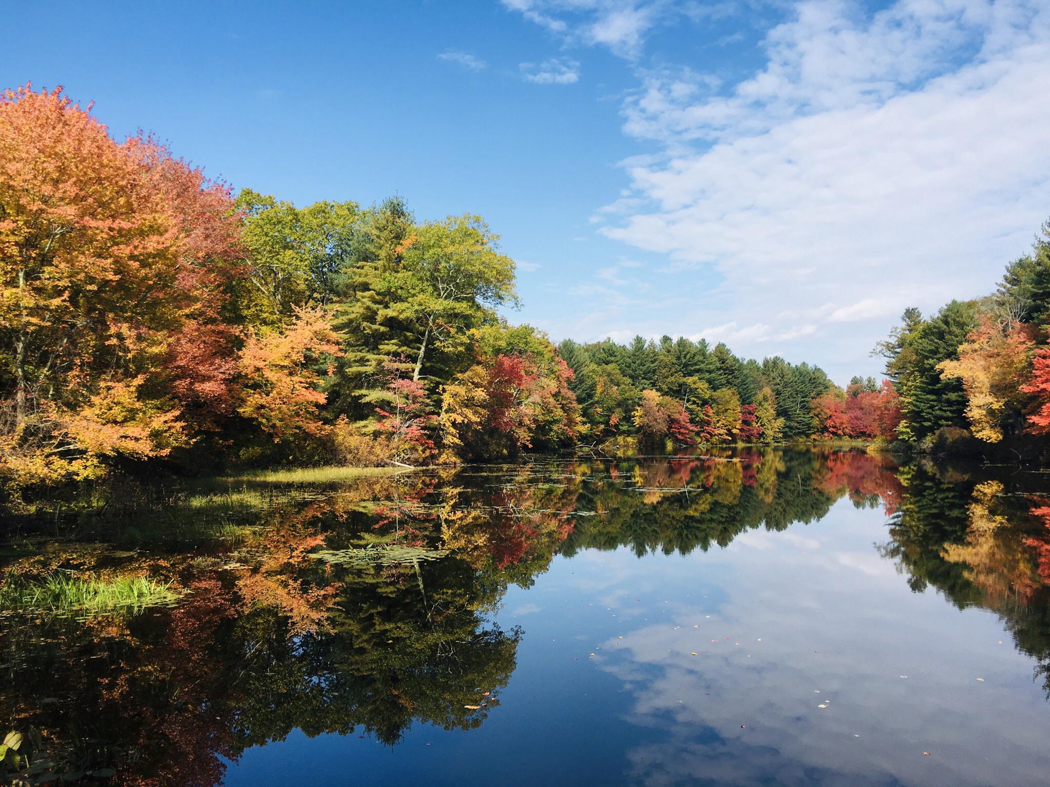 Blackledge Falls Pond, Glastonbury CT taken October 2016. Fall is