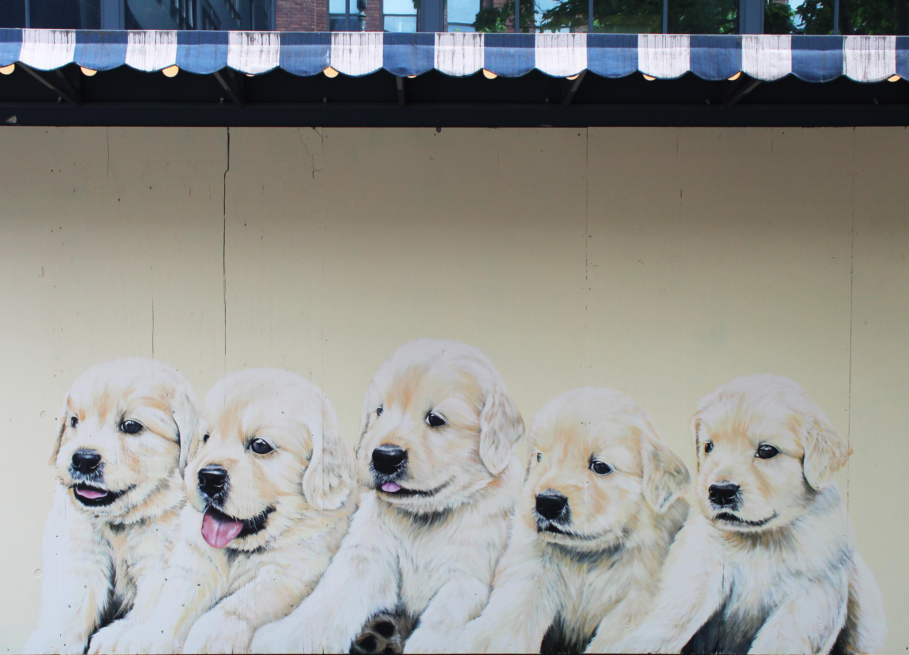Painted a puppy mural on some plywood outside Palihotel! r/Seattle