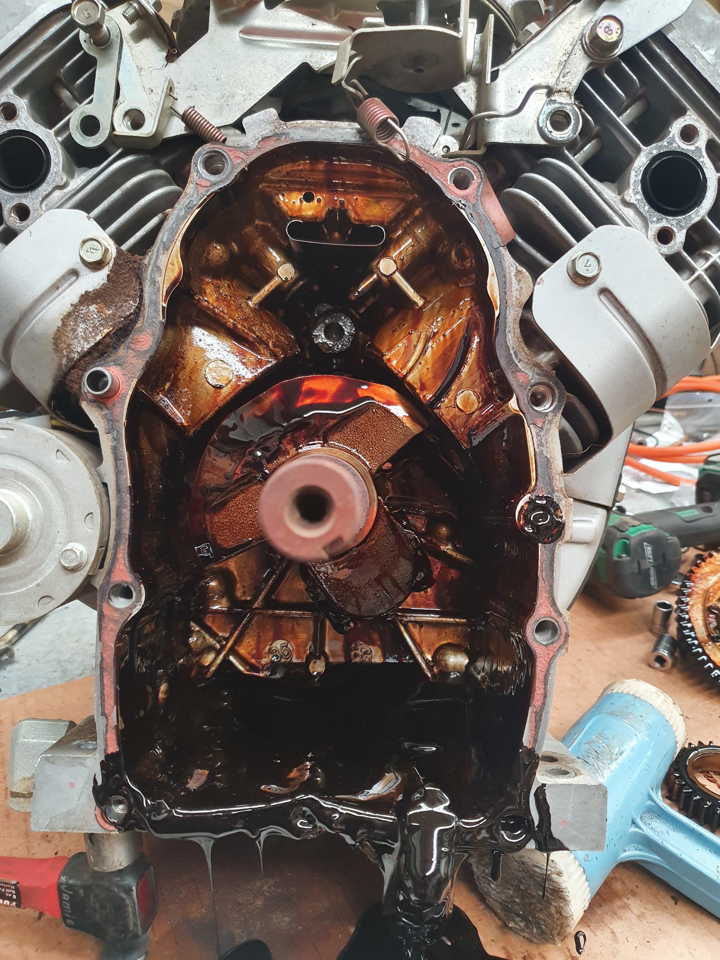 Briggs & Stratton 18hp VTwin. When the new tech only puts 700mls of oil