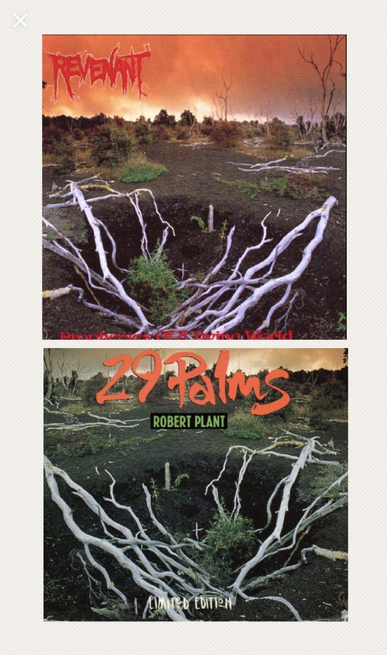 Robert Plant’s 29 Palms album cover in 1993 used the same