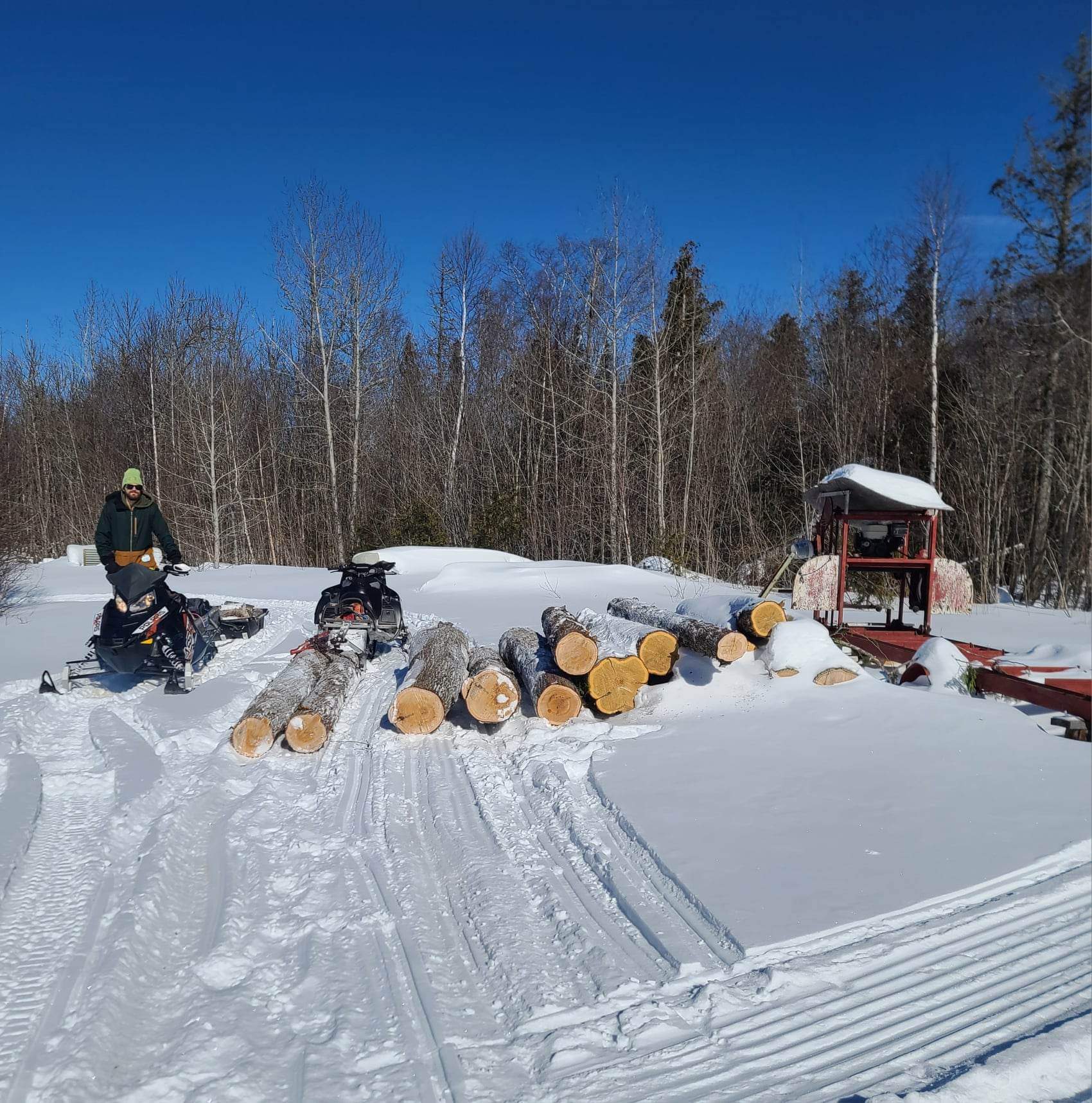 Cedar for the sawmill, northern Ontario Canada r/homestead