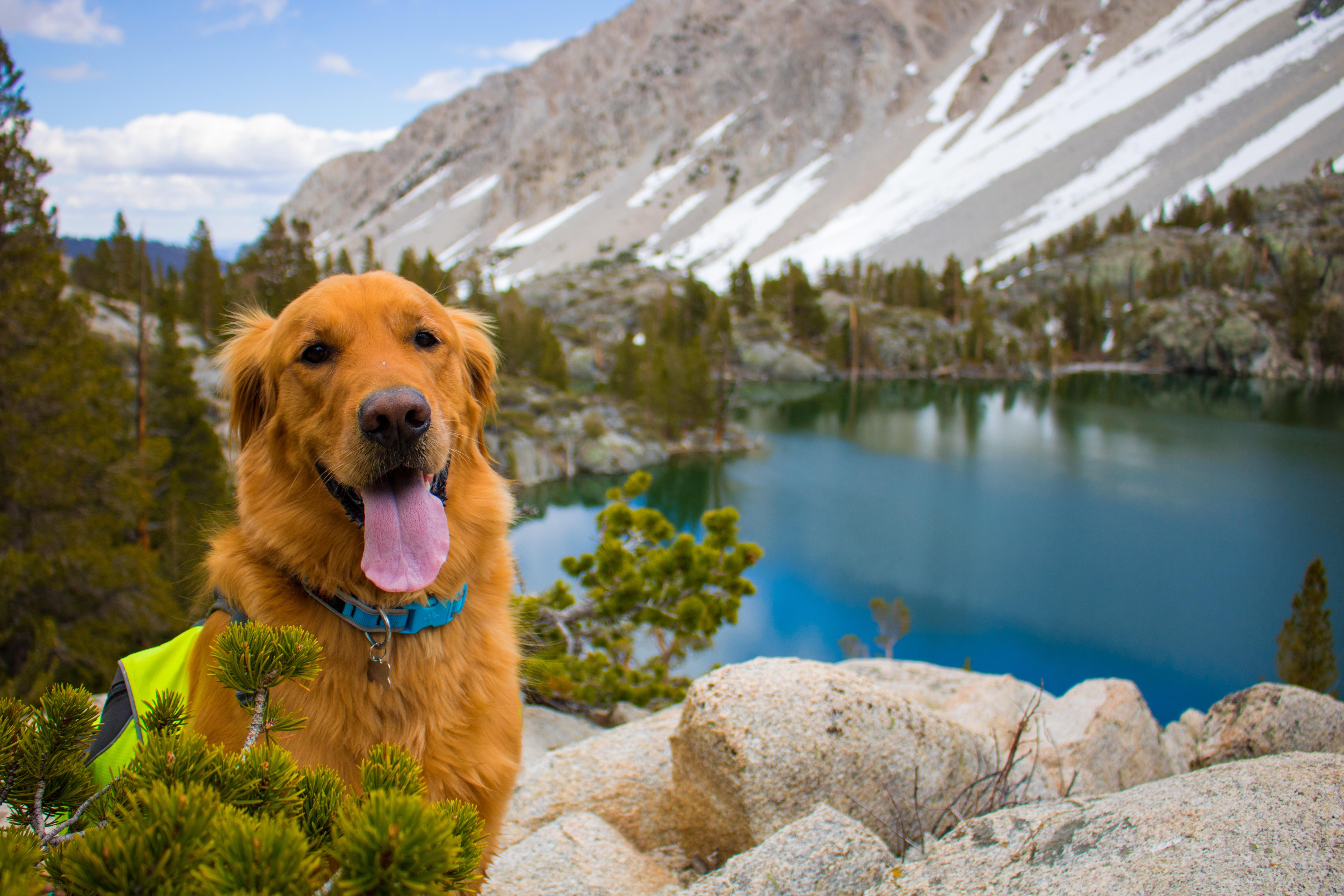 Jack’s first experience camping was at Big Pine, Ca. The eastern