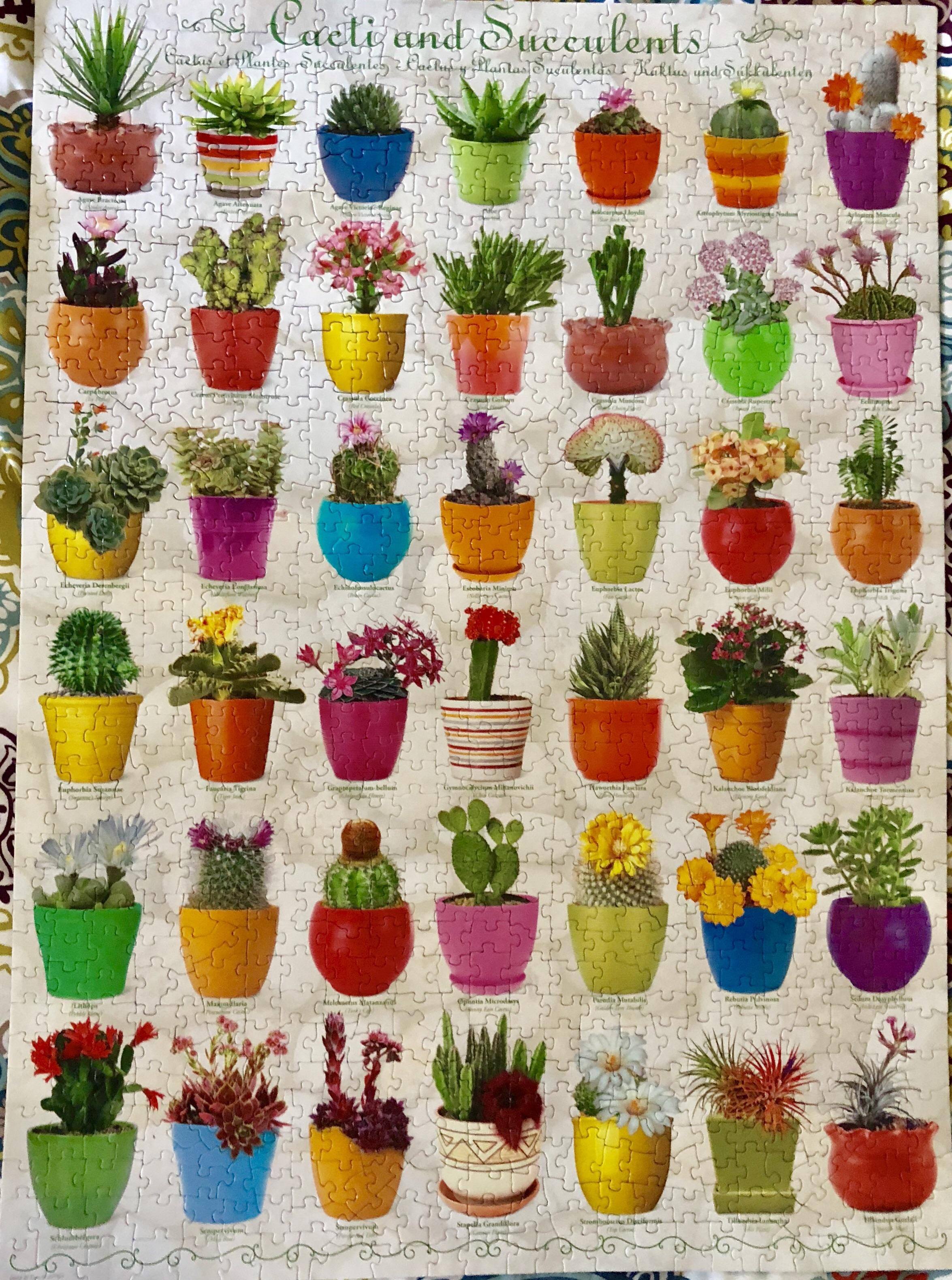 Cactus & succulent puzzle 1000 pieces from Eurographics r/Jigsawpuzzles