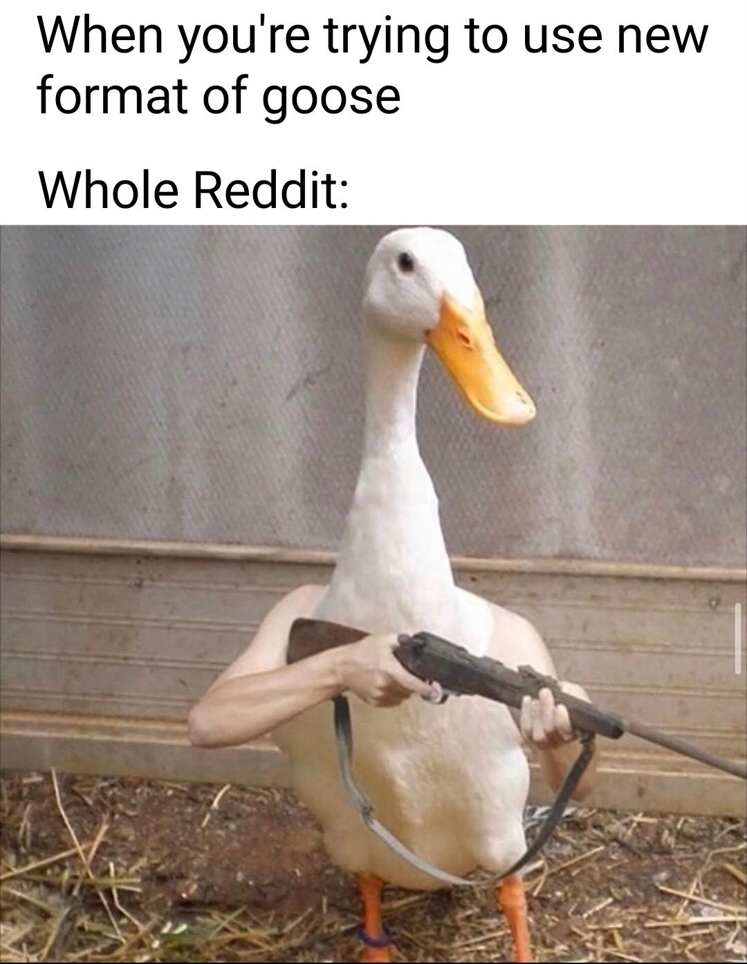 *Peace never was an option* memes