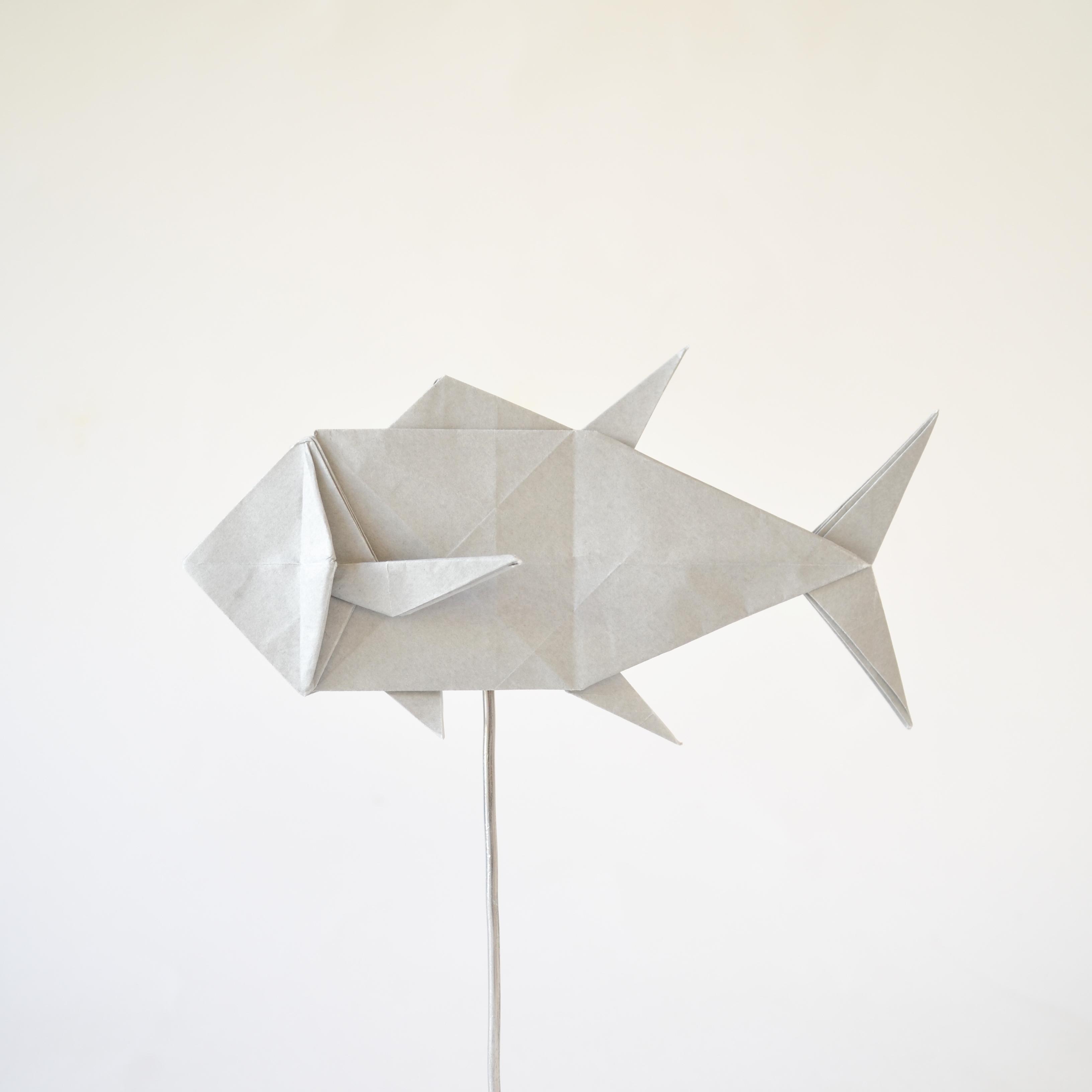 Bluefin Tuna, 2021, designed and folded by me r/origami