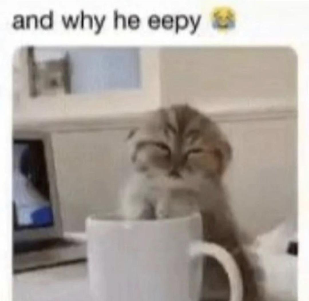 and why he eepy 😂 r/MoldyMemes
