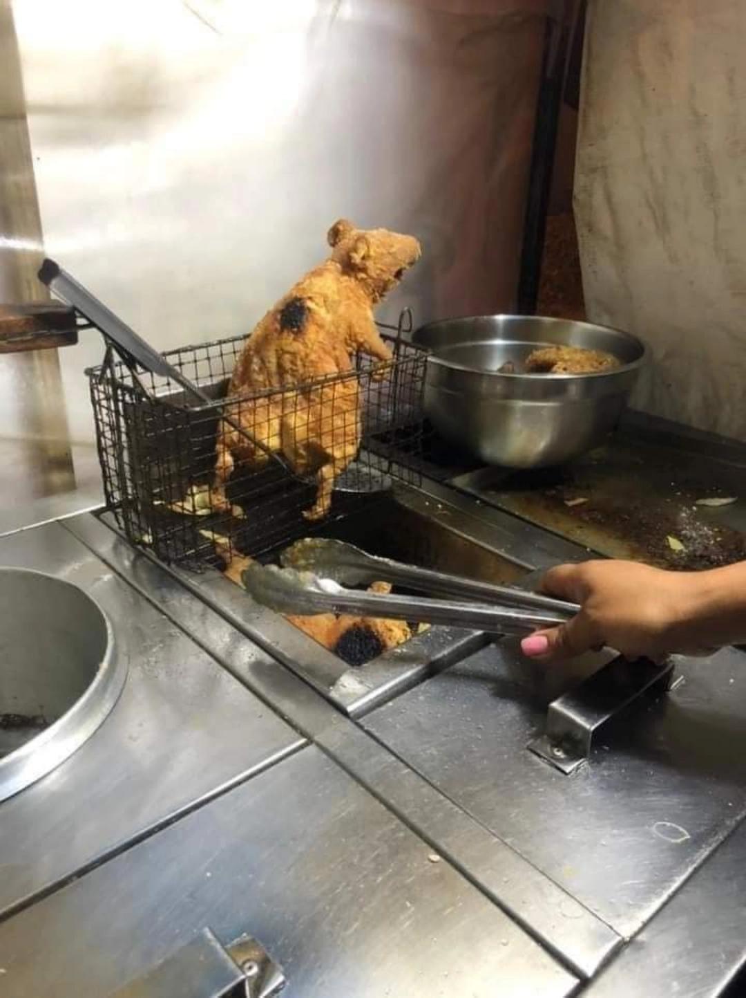 Thanks, I hate deepfried rat TIHI