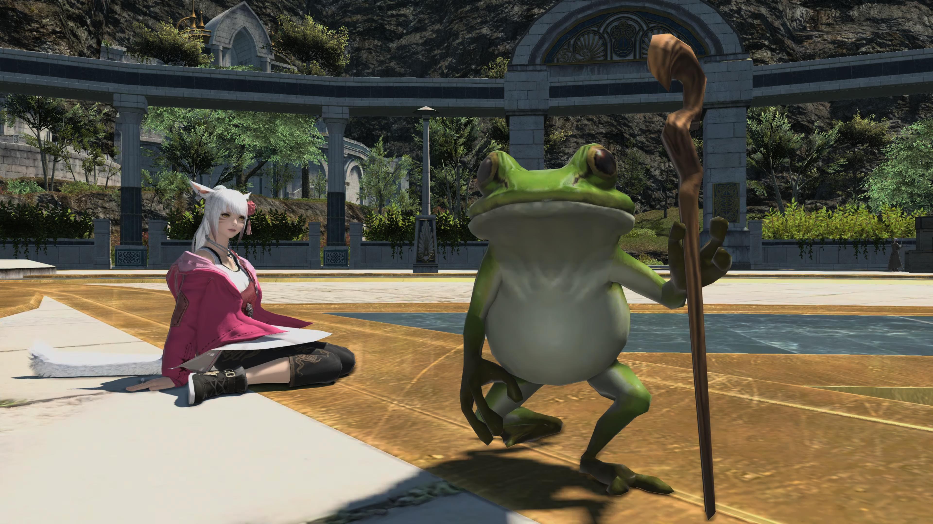 not enough people are talking about the frog in the archeion r/ffxiv