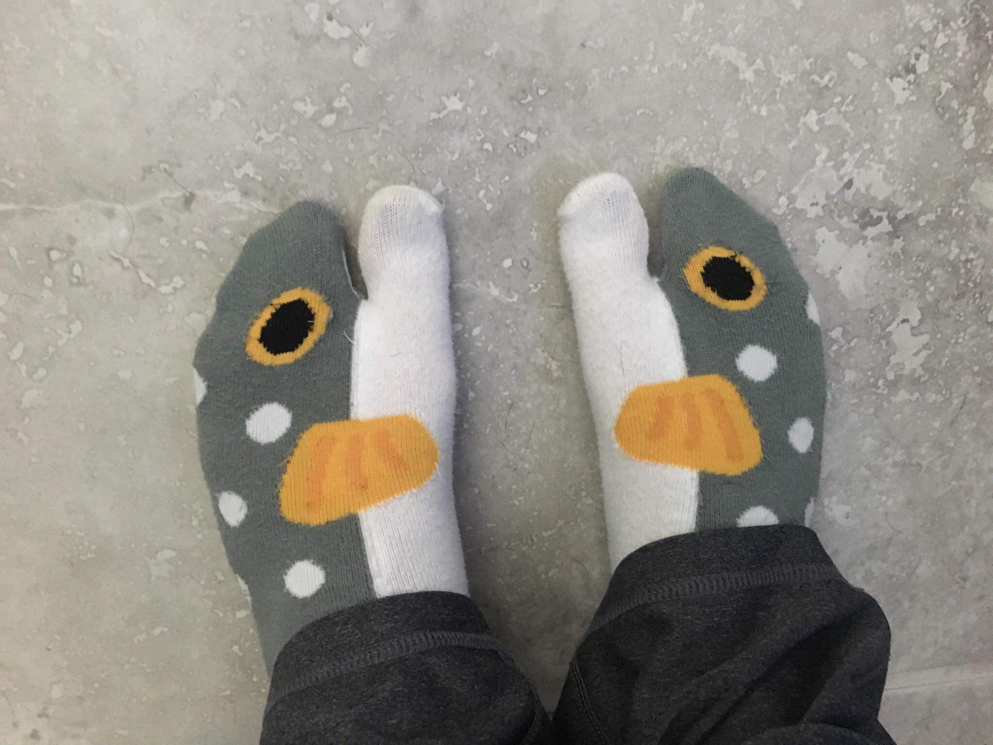 These fish socks from Japan r/mildlyinteresting