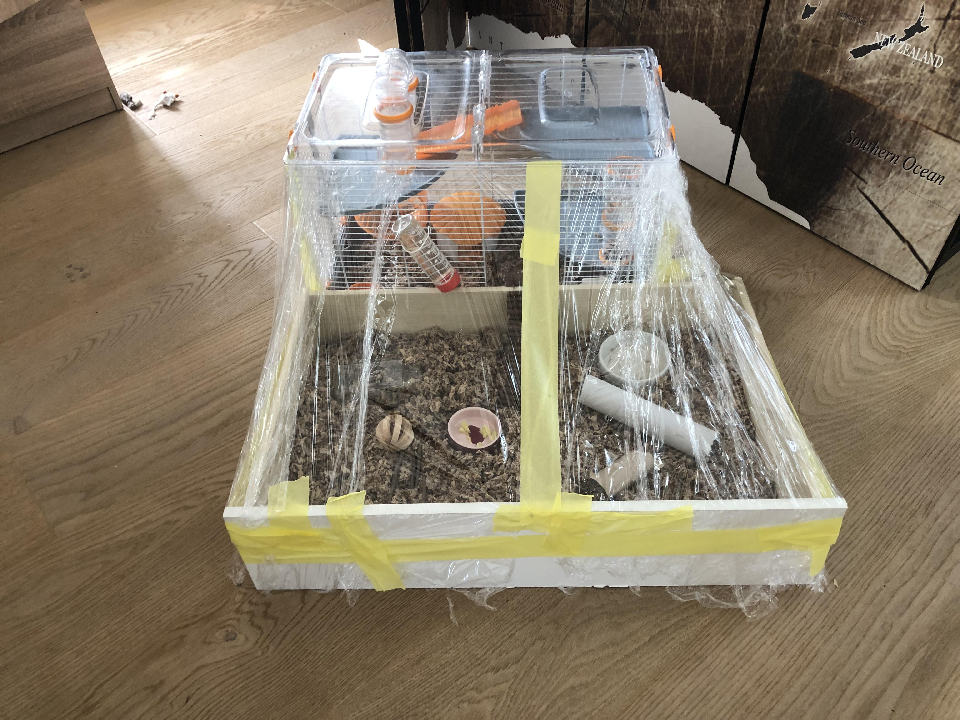 Just wanted to tell you all that I’ve made my hamsters cage bigger as