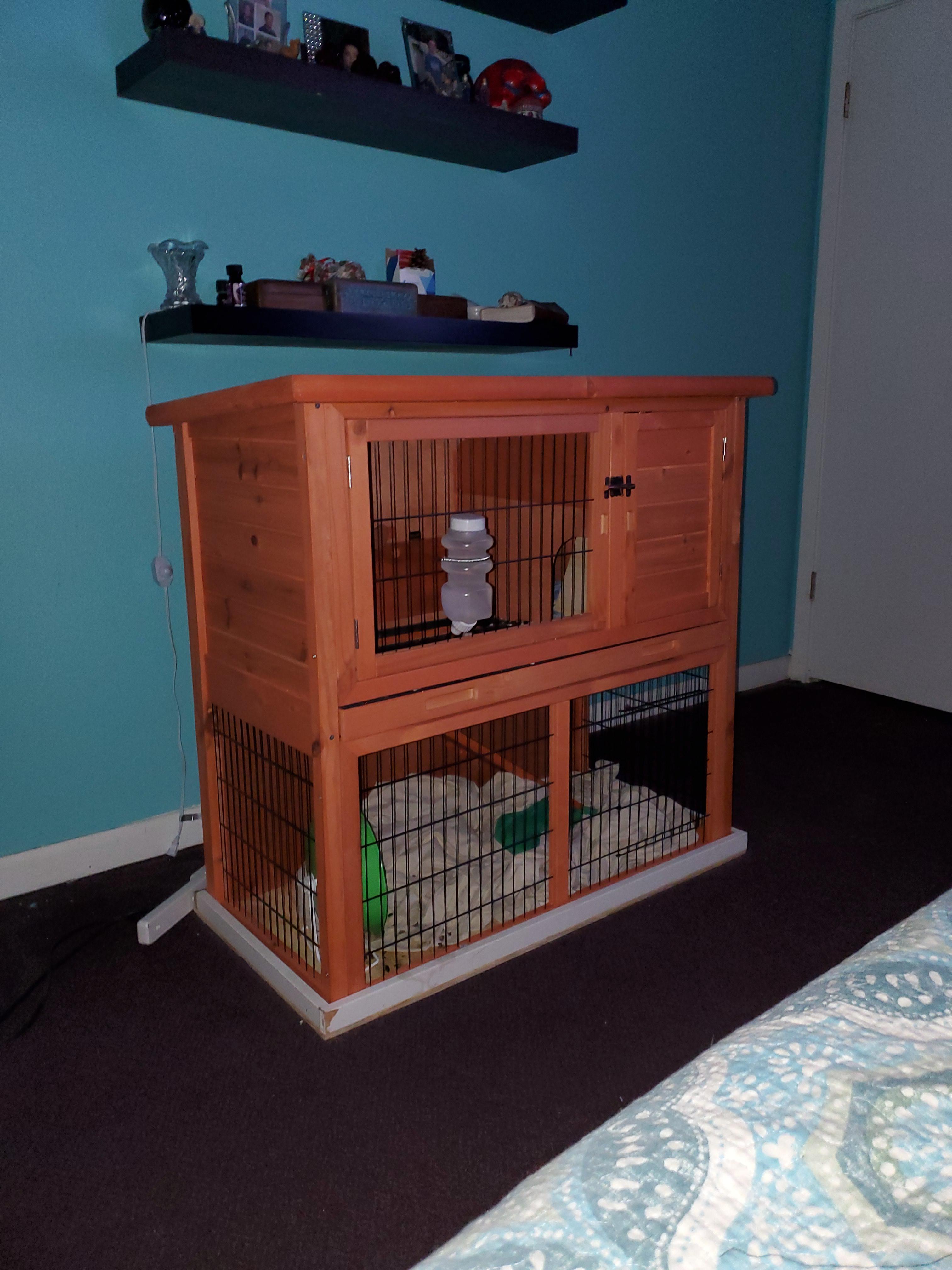 What do you guys use as a cage? I use this rabbit hutch with 2 levels