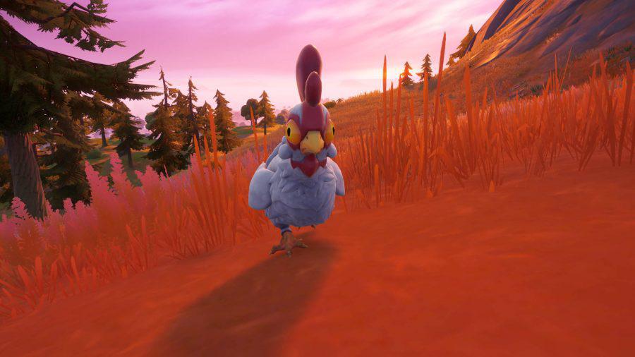 Just a Random Chicken r/FortNiteBR